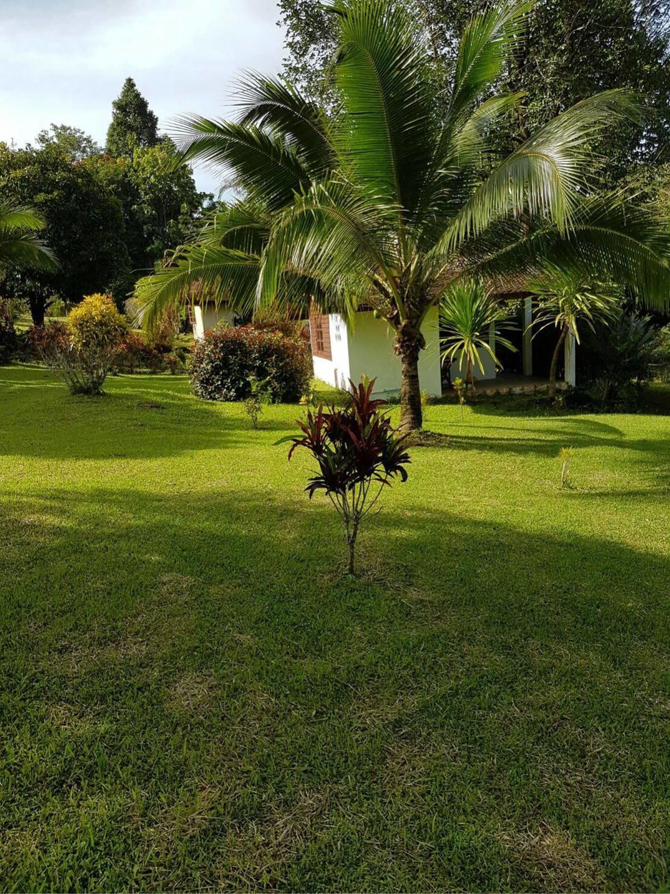 Resort Phanom Bencha Mountain