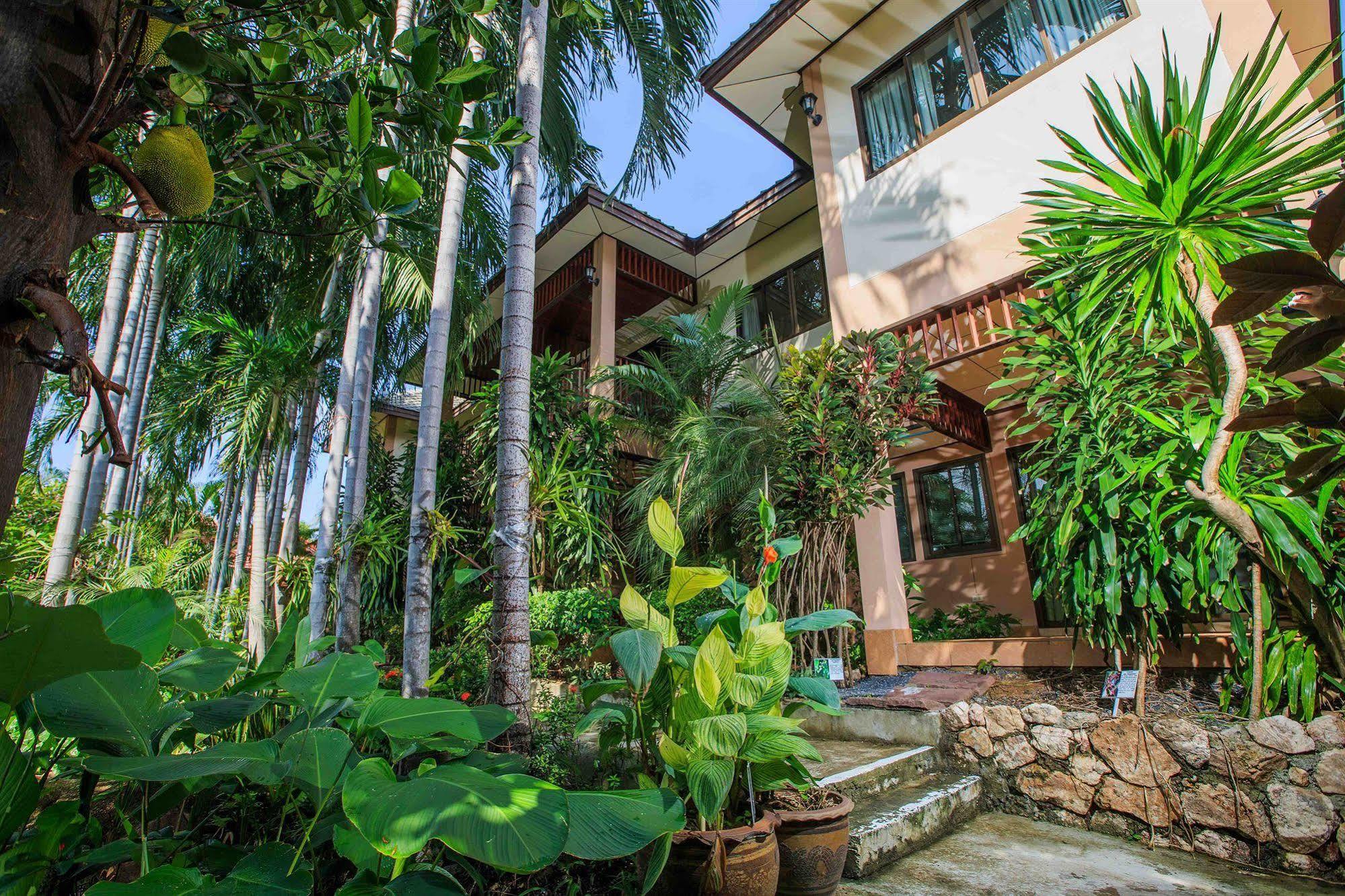 Oasis Hakuna Matata Hotel 3*