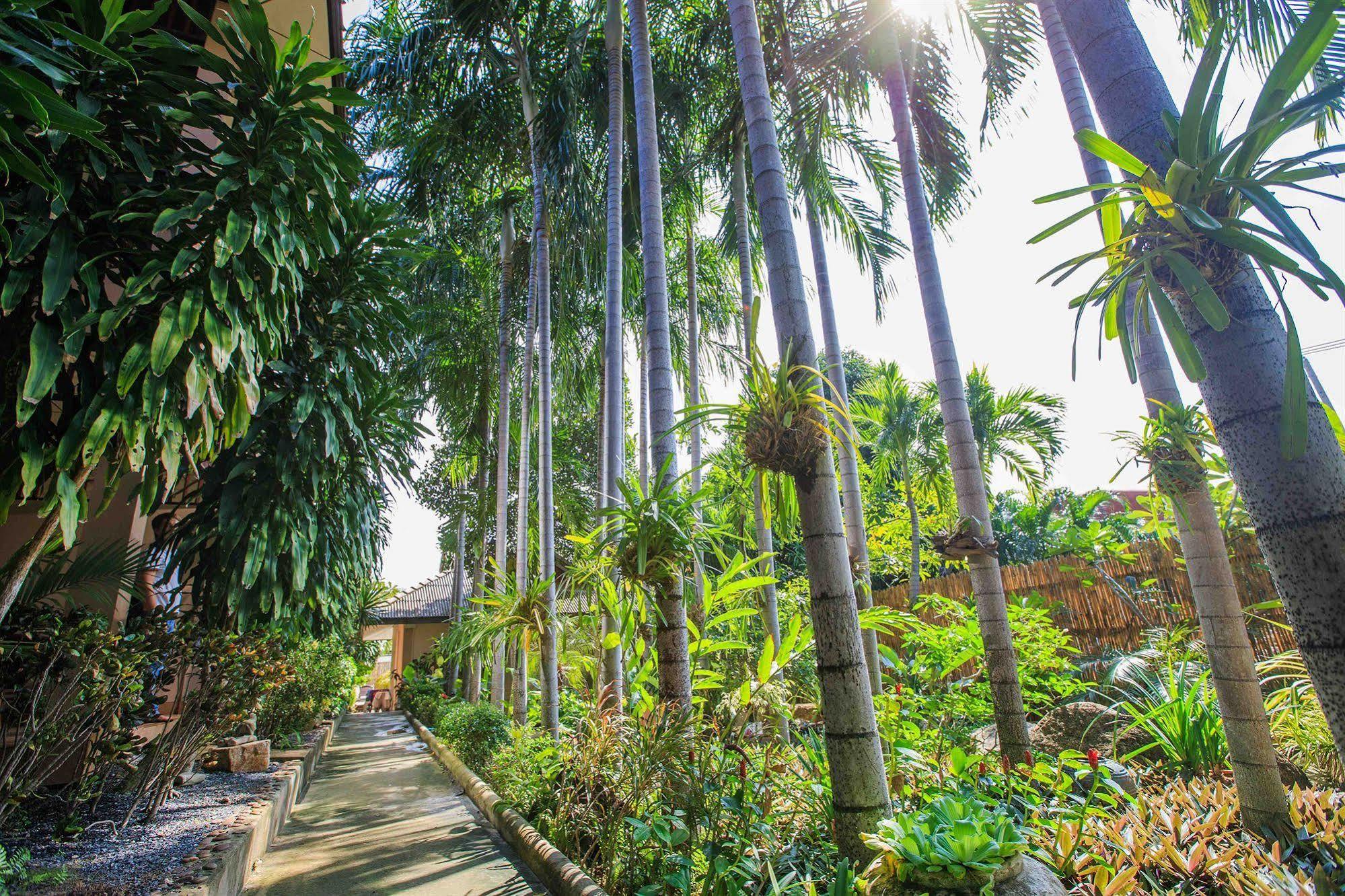 Hotel Oasis Hakuna Matata
