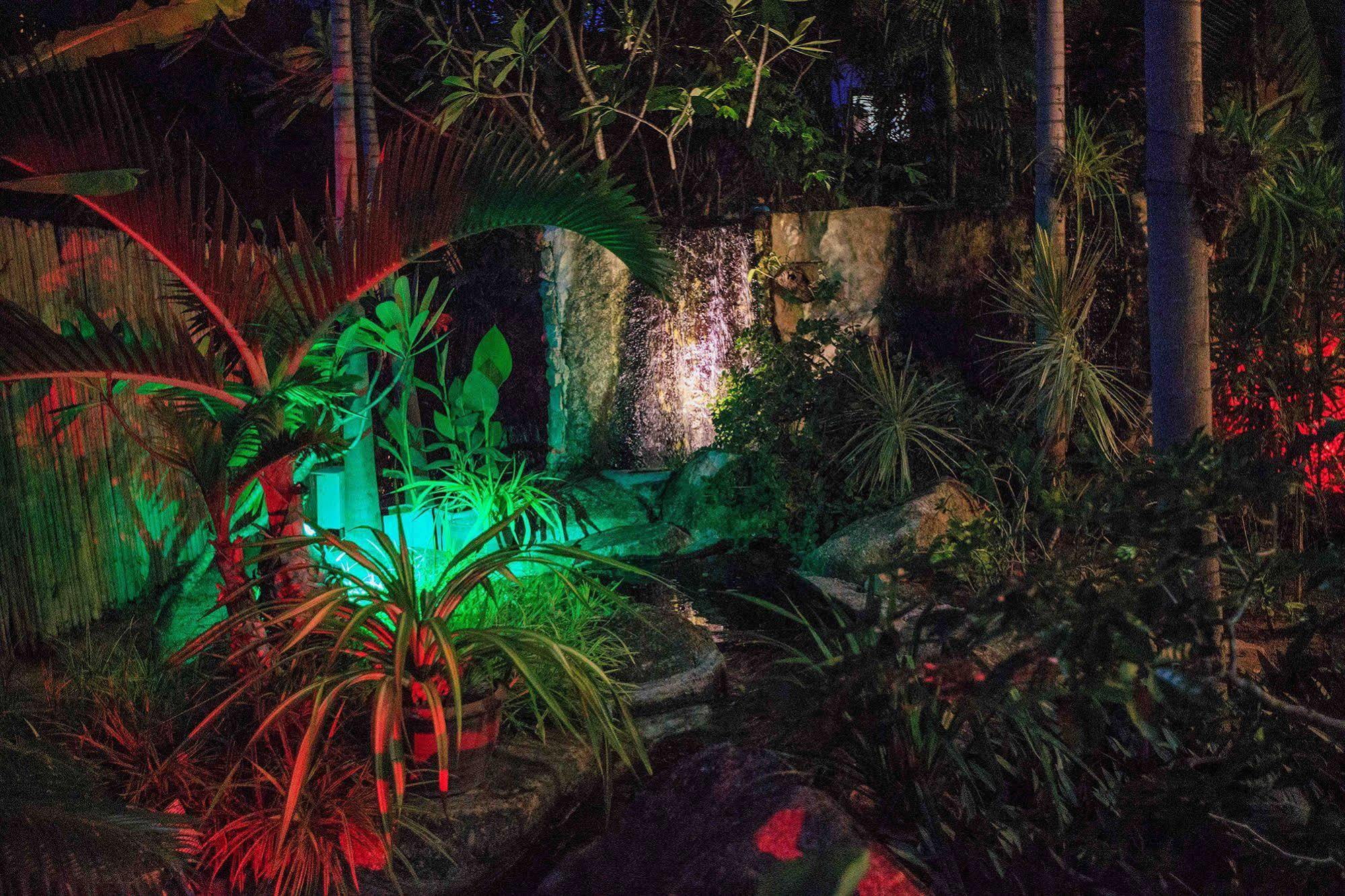 Hotel Oasis Hakuna Matata