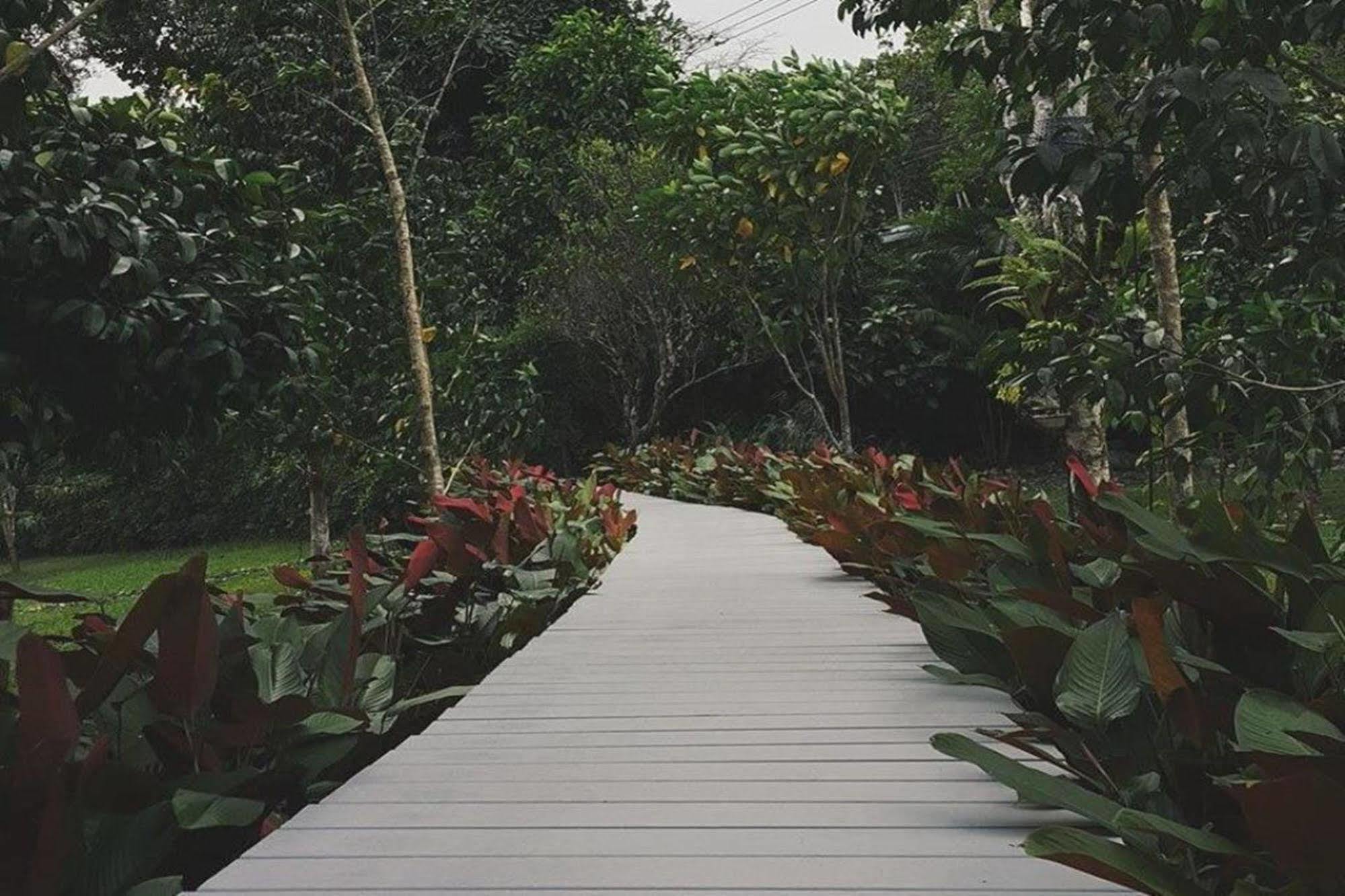 The Hidden Ranong