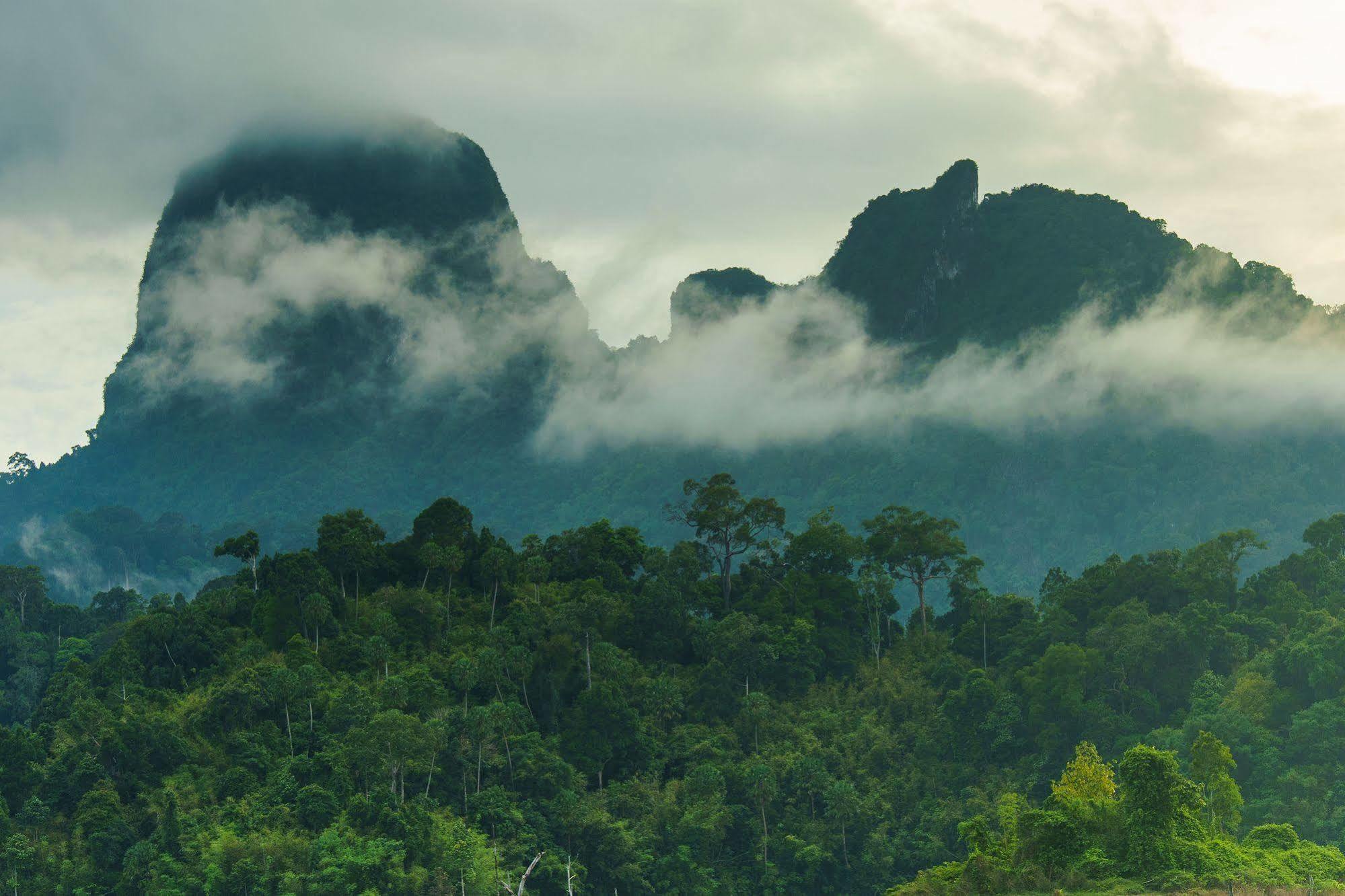 Keeree Warin Chiewlarn Khao Sok National Park