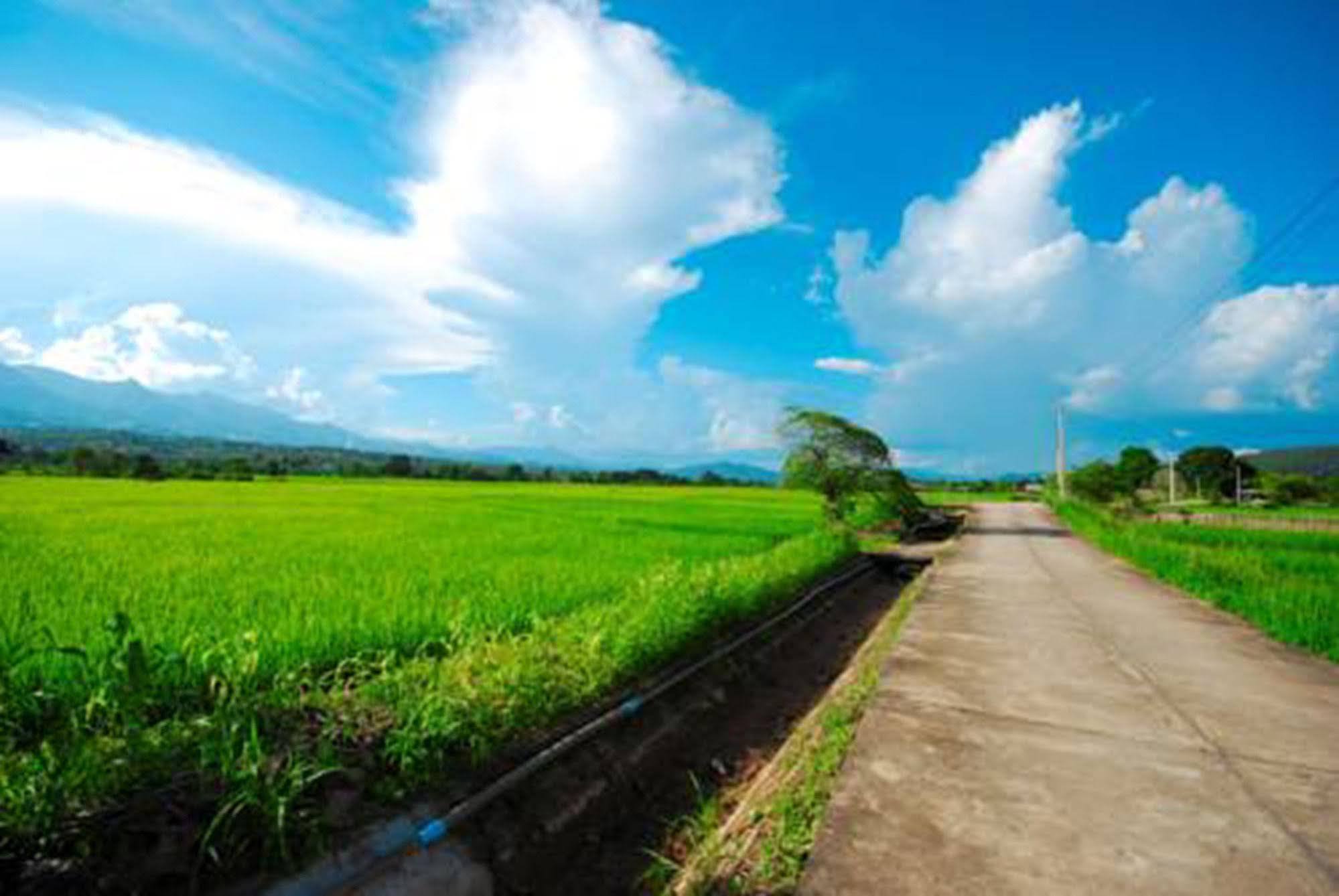 Blue Sky