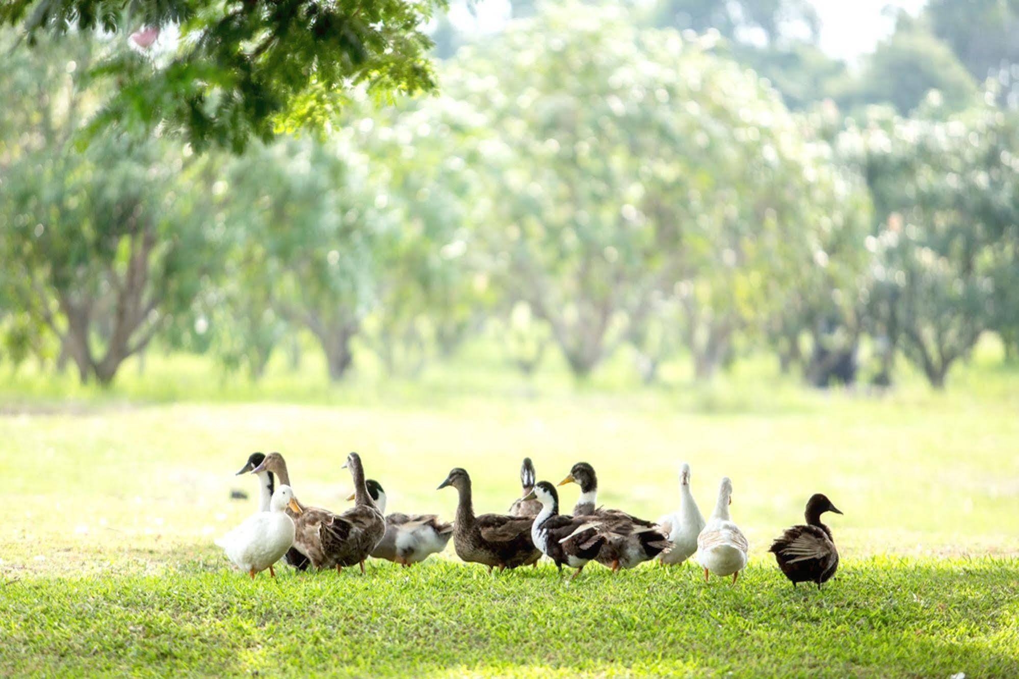 Chateau De Khaoyai &