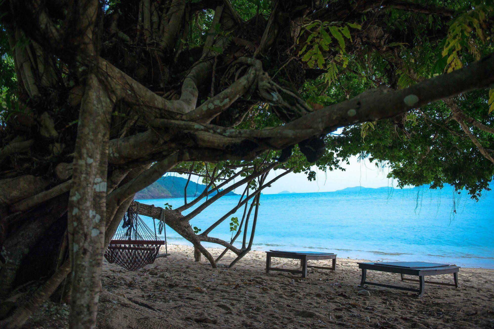 The Tropical Lodge