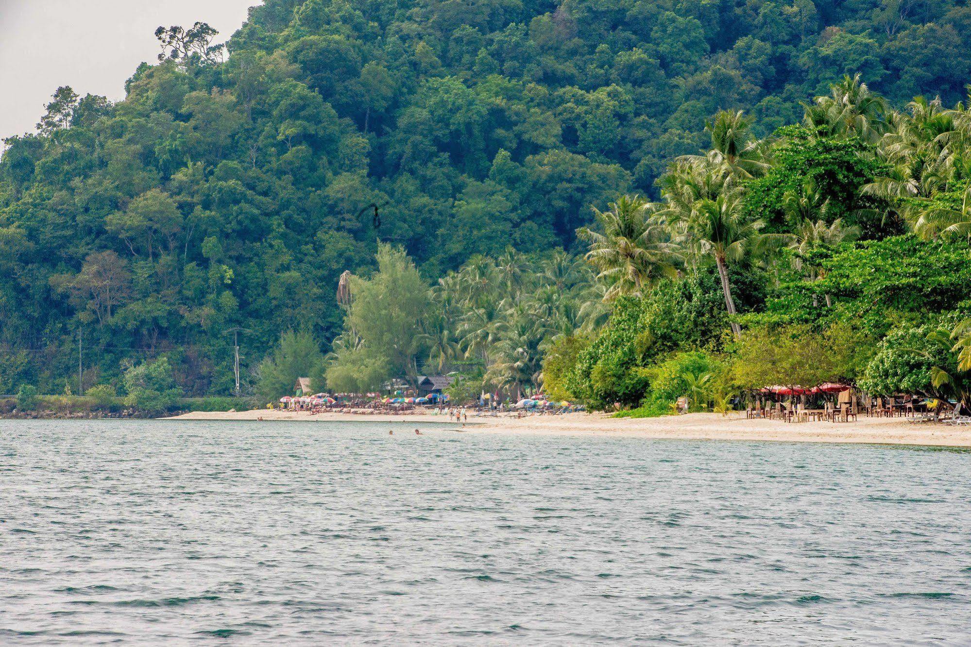The Tropical Lodge