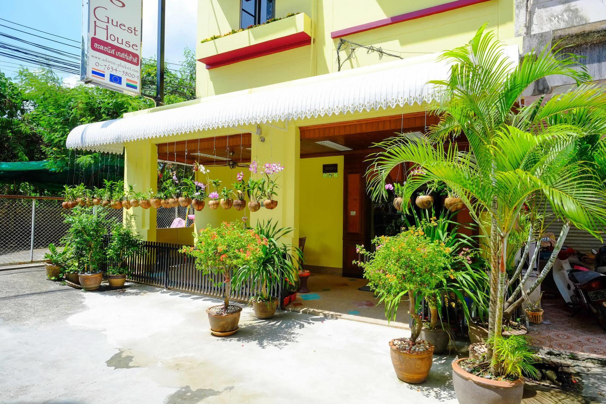 Guest house Adonis Patong
