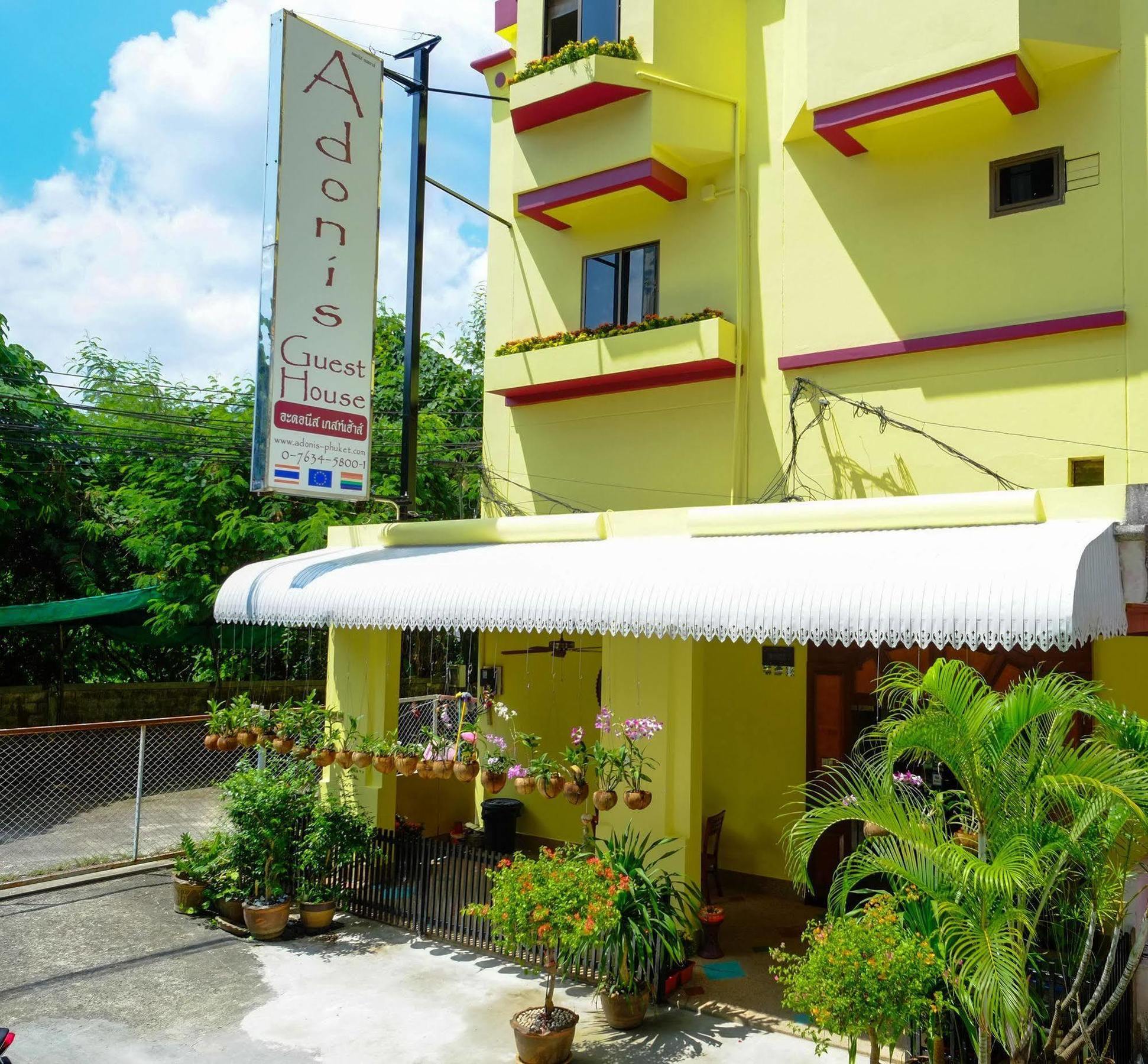 Adonis Patong