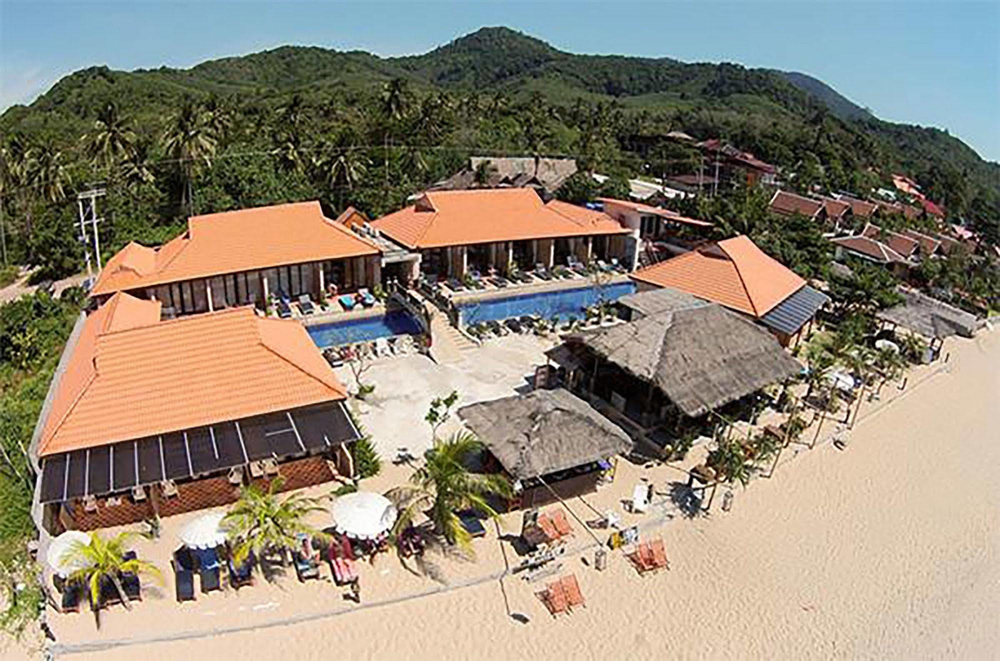 Peace Paradise