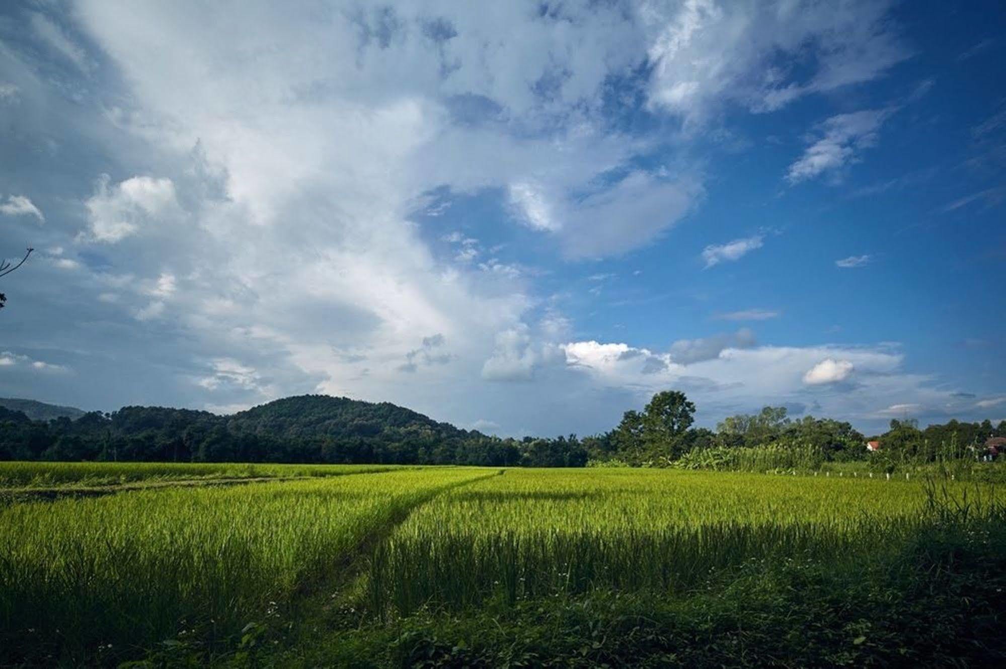 Bambuh Boutique (adults Only) Chiang Rai