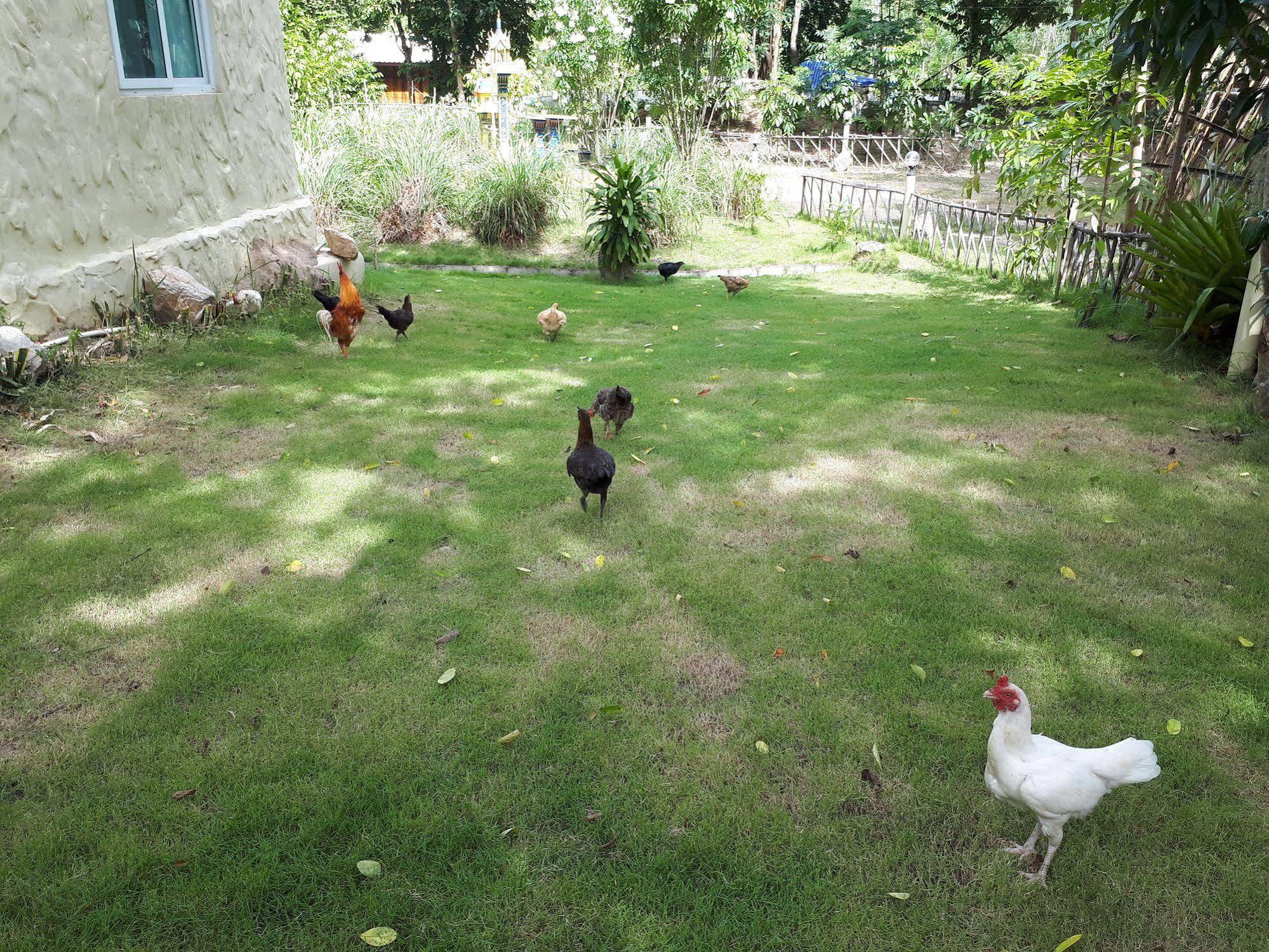 Resort Baansongkhata
