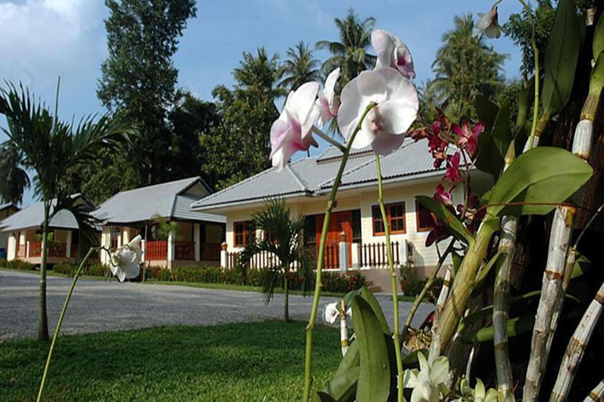 Chalet Apple *