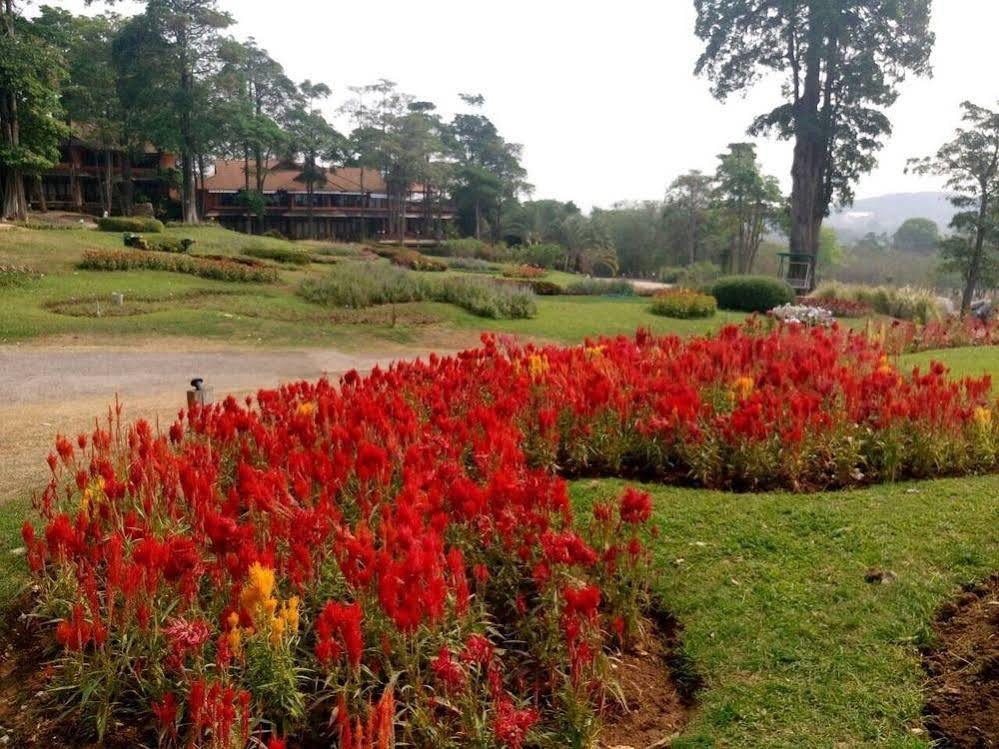Arayana Phupimarn & 3* Pakchong