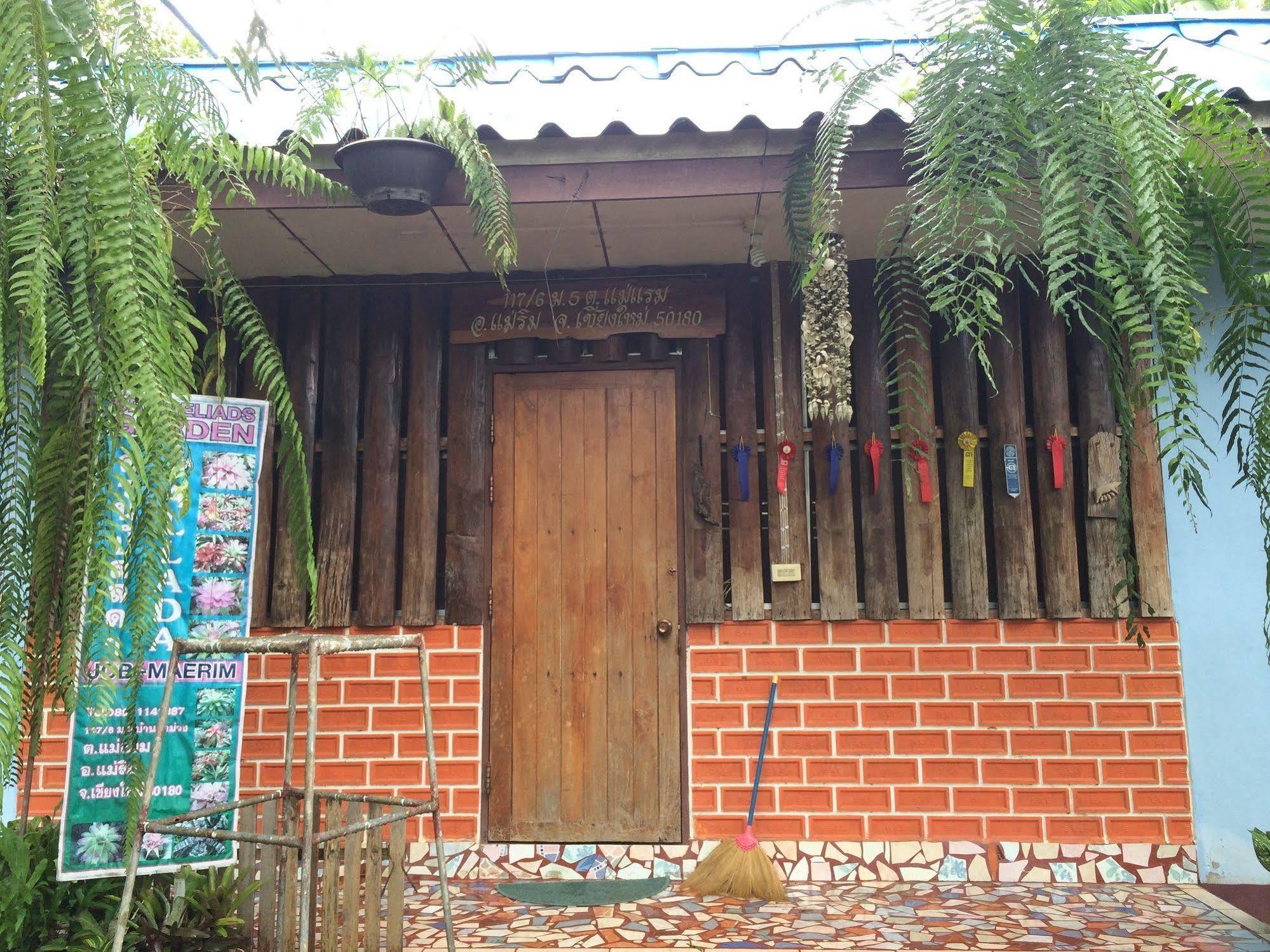 Pallada Bromeliads Garden And * Mae Rim
