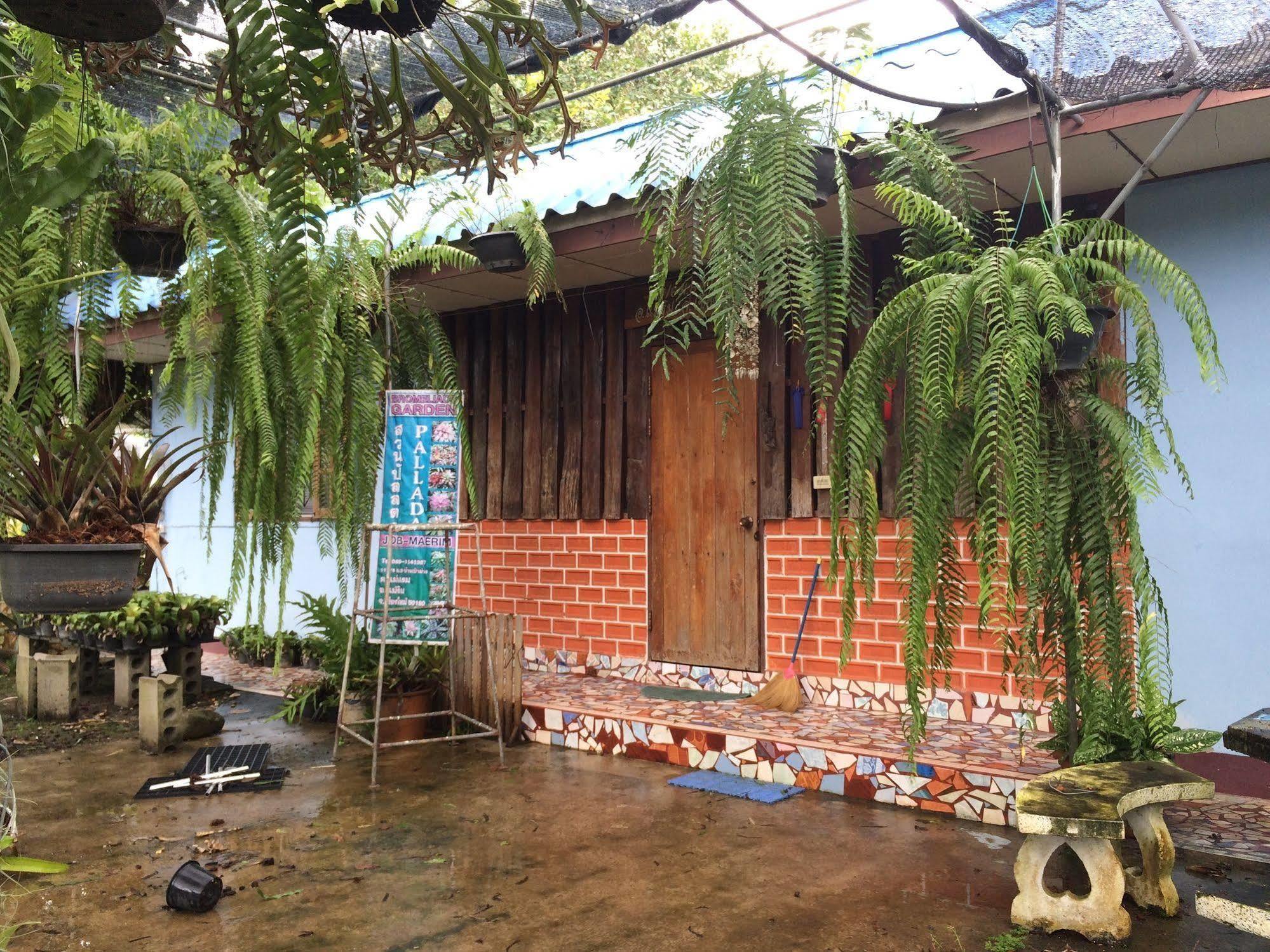 Farm stay Pallada Bromeliads Garden And *