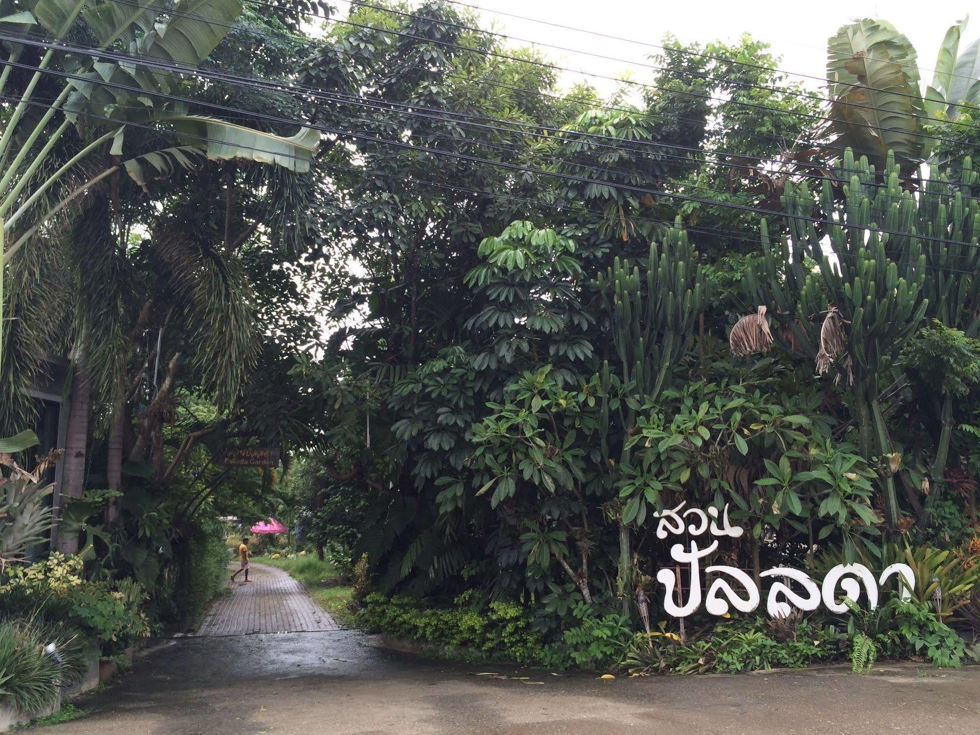Farm stay Pallada Bromeliads Garden And *