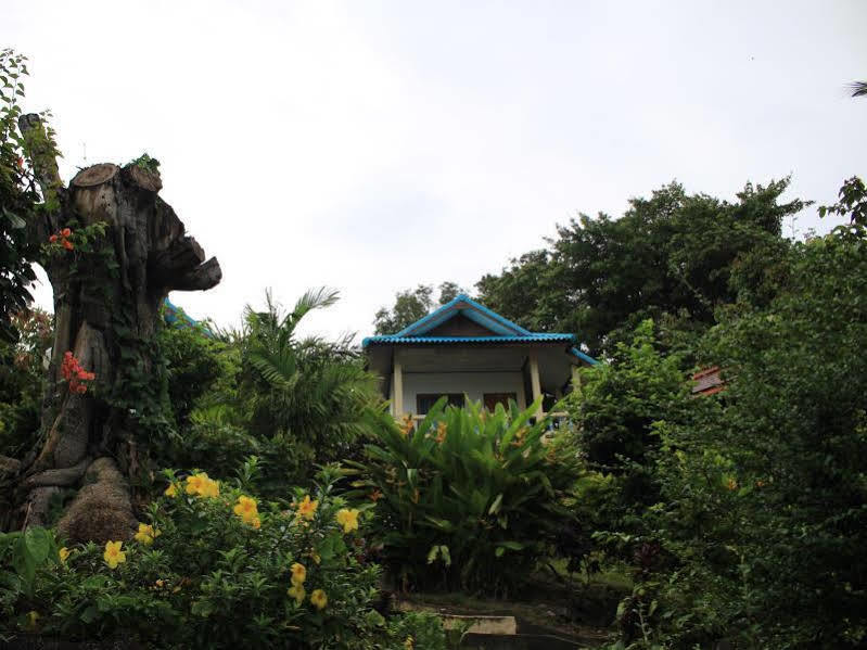 Dragon Hut