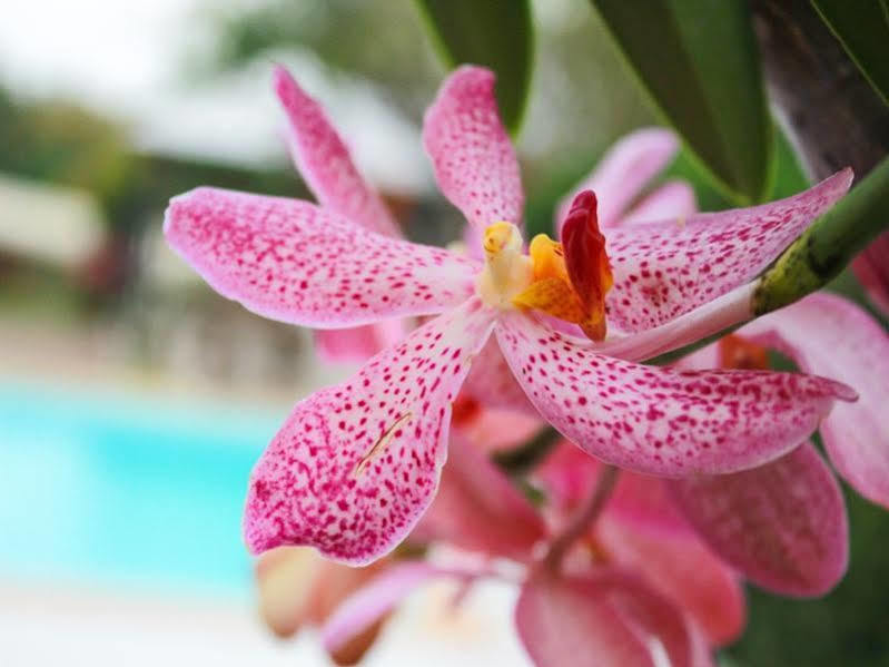 Kanvela Hotel Kanchanaburi