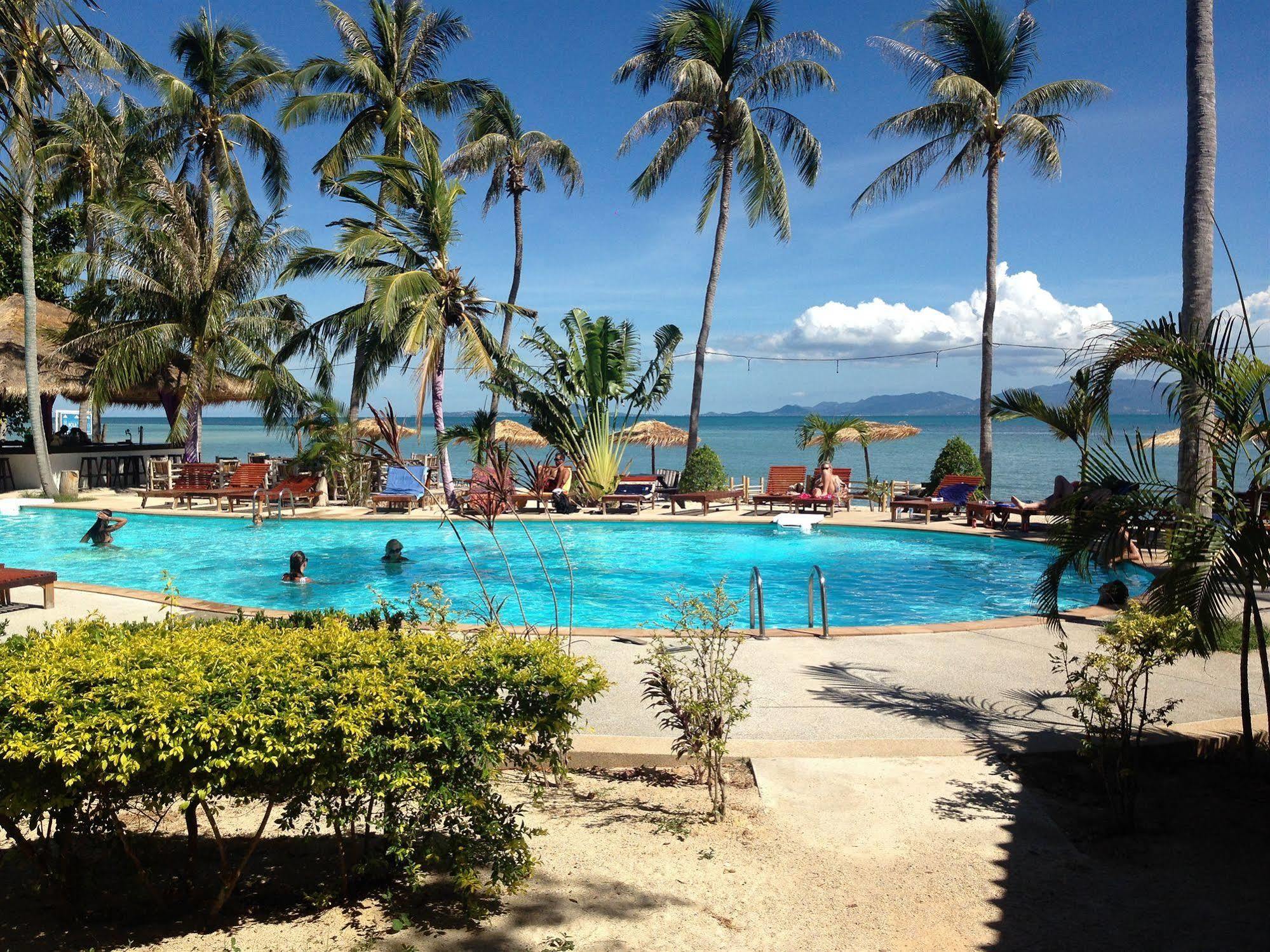 The Village Hotel