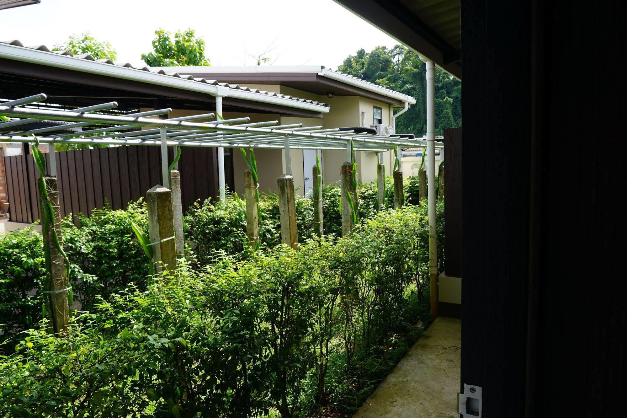 Phumipat Thungsong Guest house