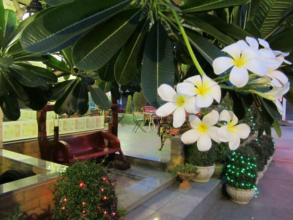 The Park Hotel 3*
