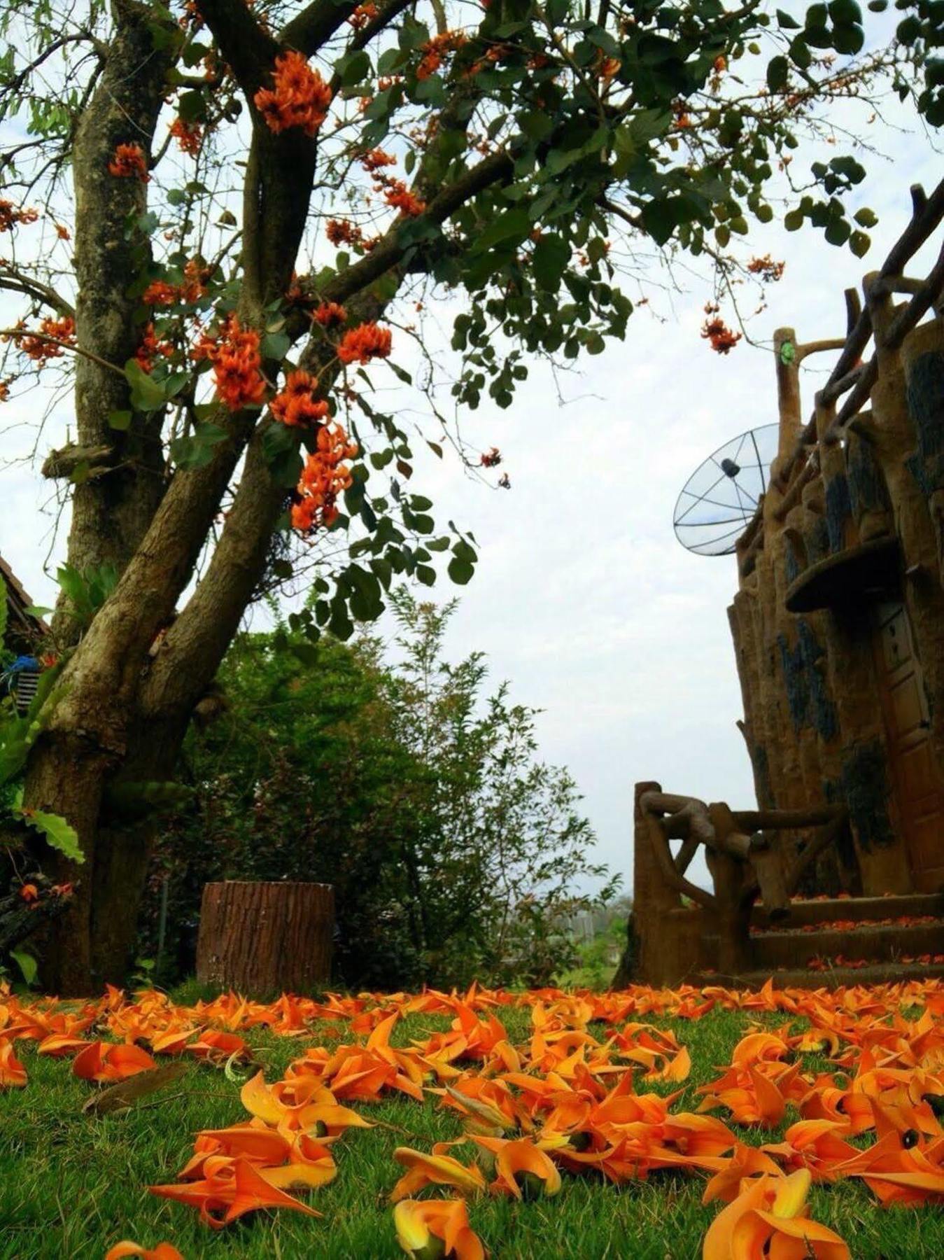 Timberland And Fruit Hotel