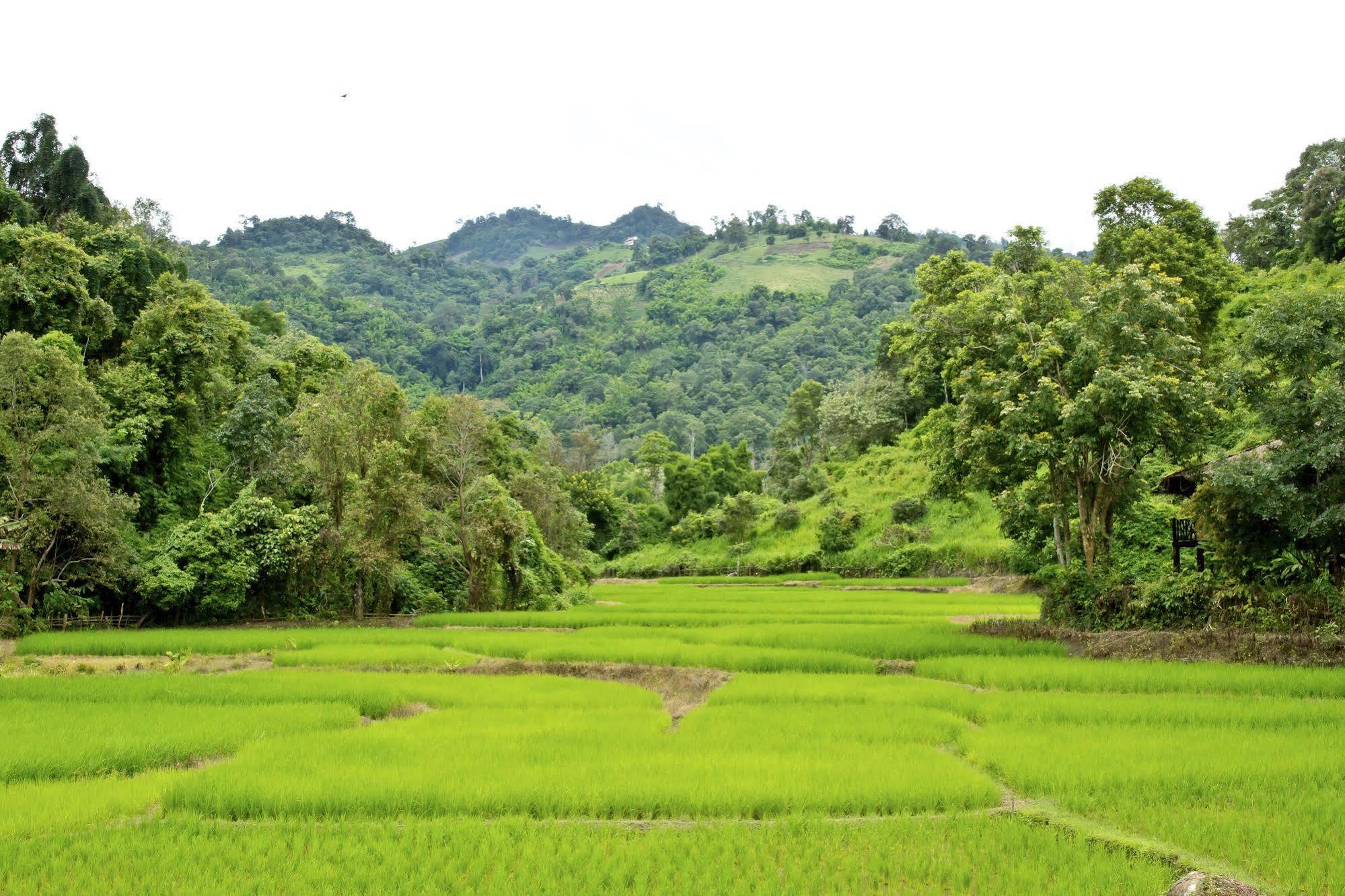 Hmong Hilltribe Lodge Mae Rim
