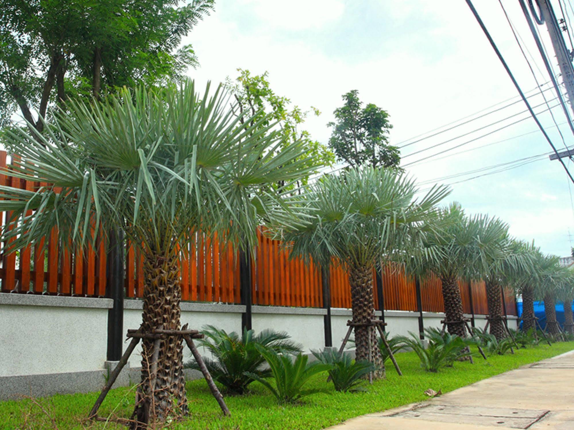 Baan Siriporn - โรงแรมบ้านศิริพร Resort Samut Songkhram
