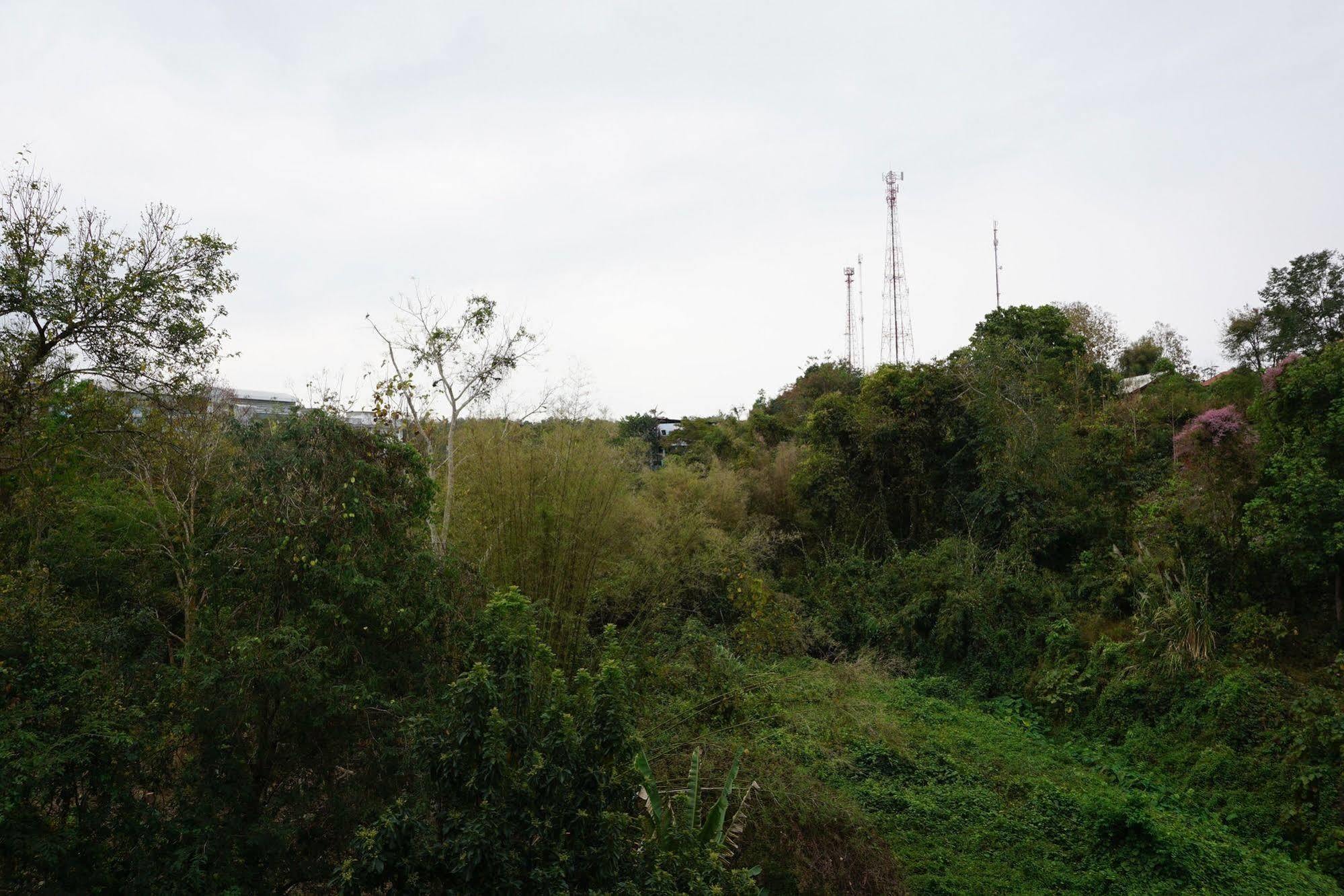 Hill Pua