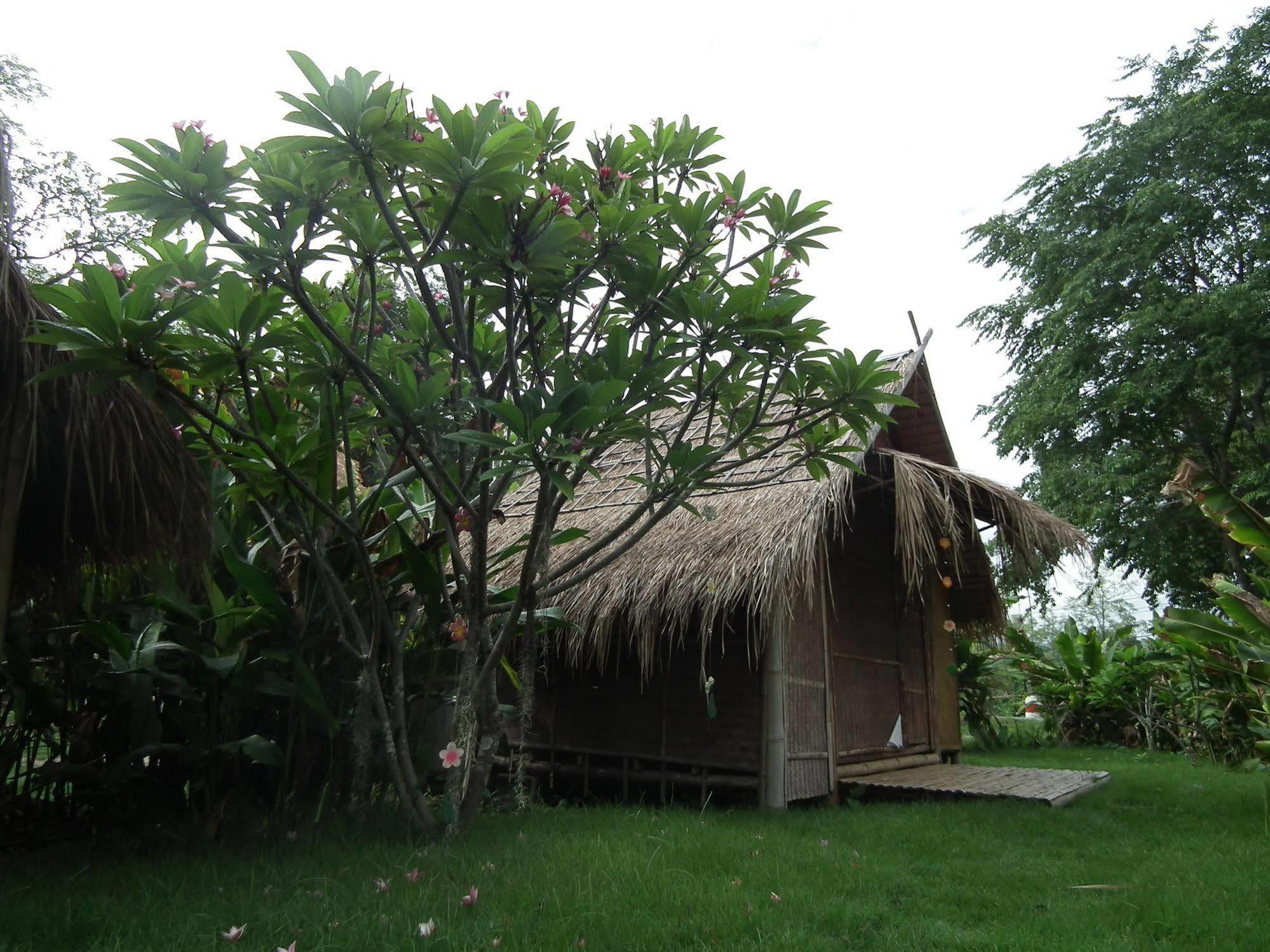 Bamboo Hut
