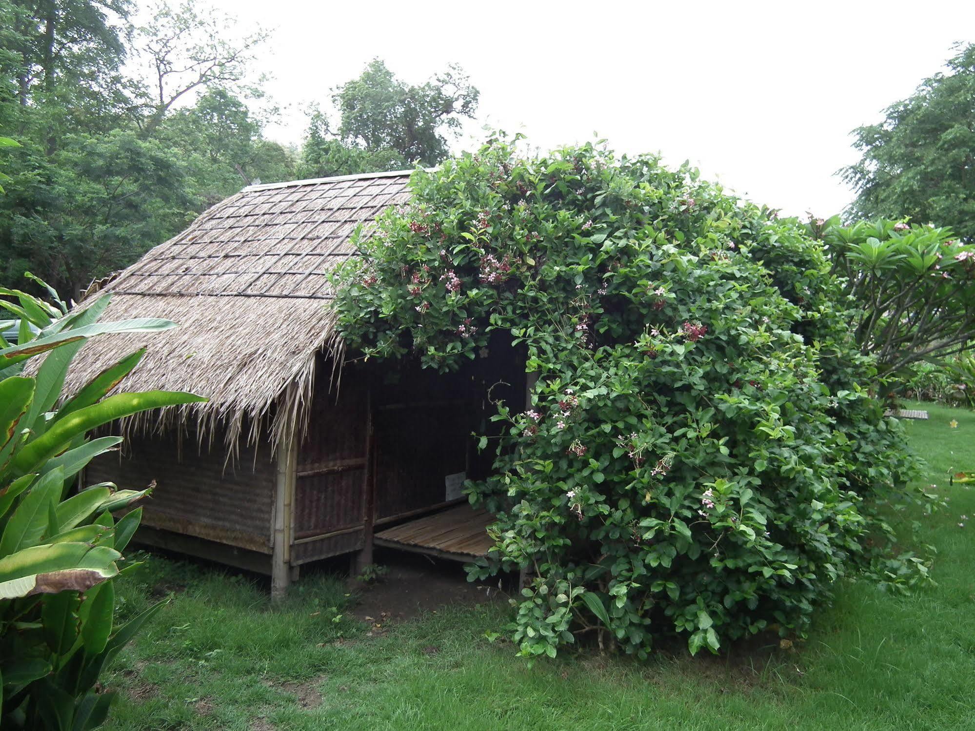 Bamboo Hut Resort