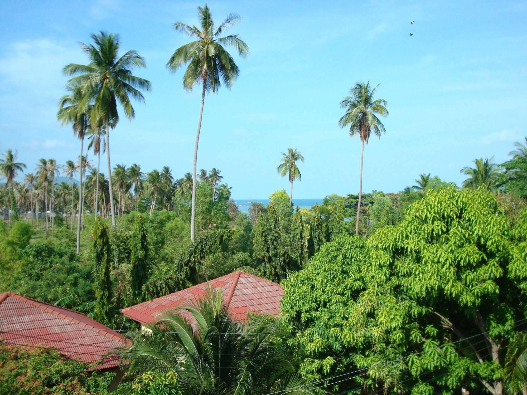Hotel Satva Samui