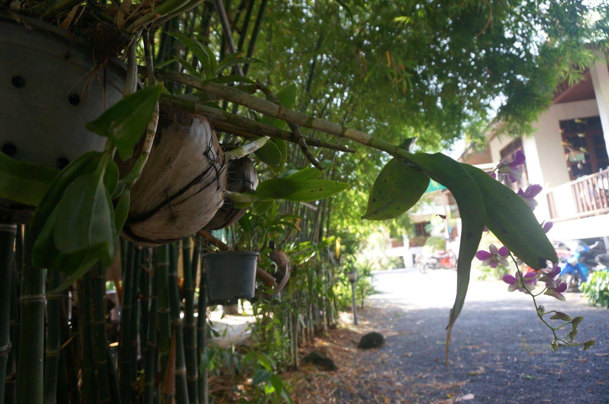 Baannoksuan Samui Hotel 3*