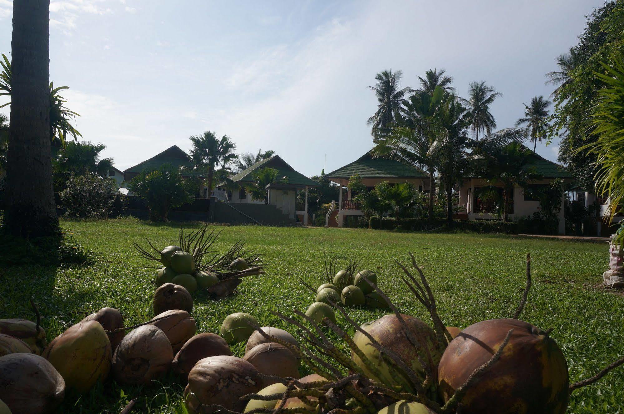 Baannoksuan Samui 3* Maret