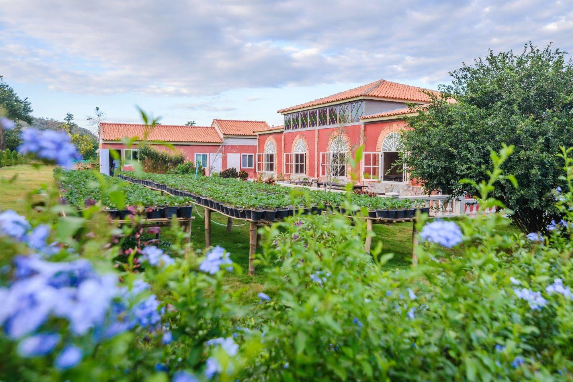 Hotel Davinci Di Khaoyai Mu Si