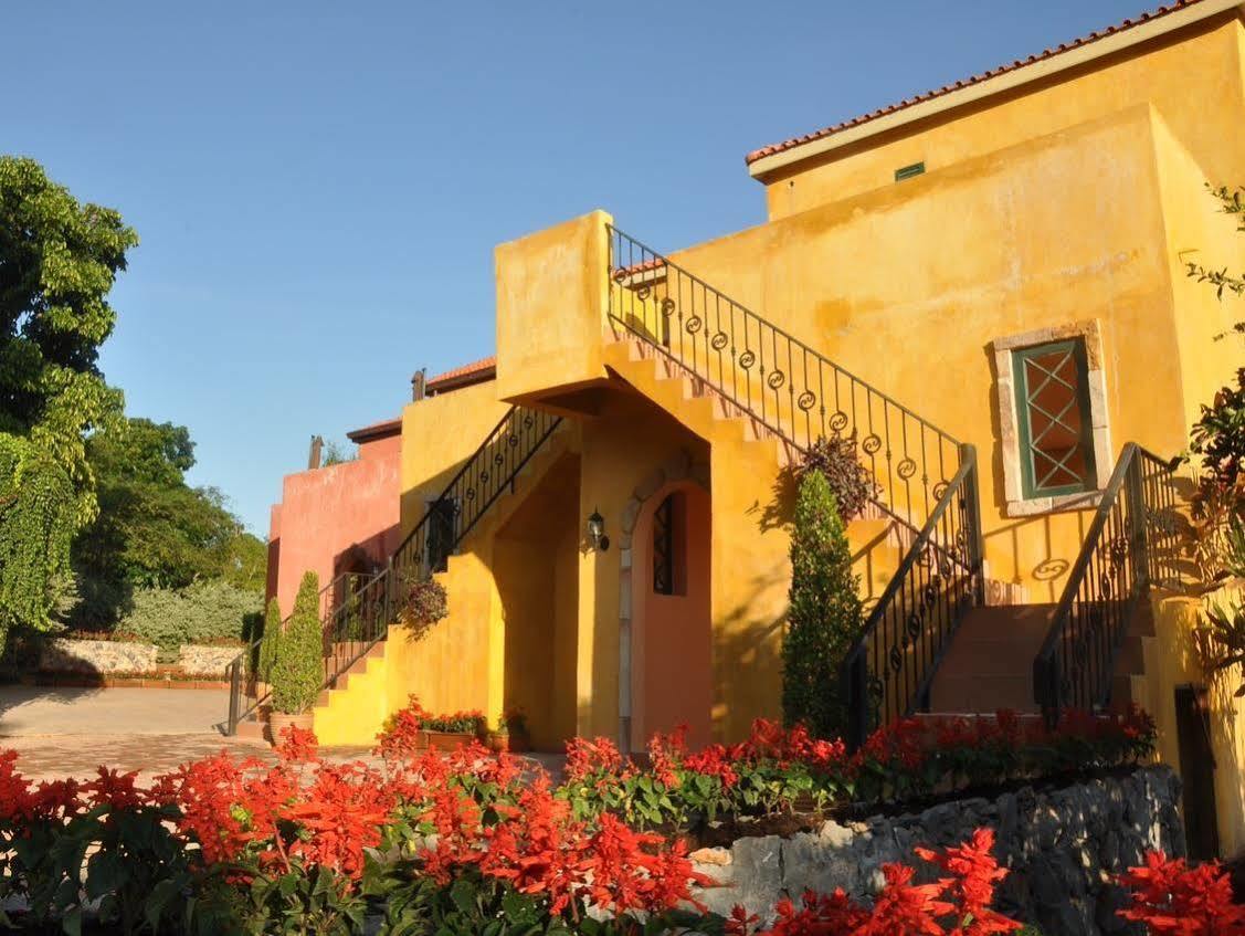 Davinci Di Khaoyai 3*