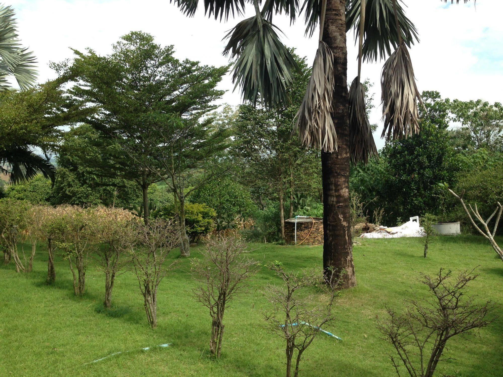 Resort Rai Supisara Pong Talong