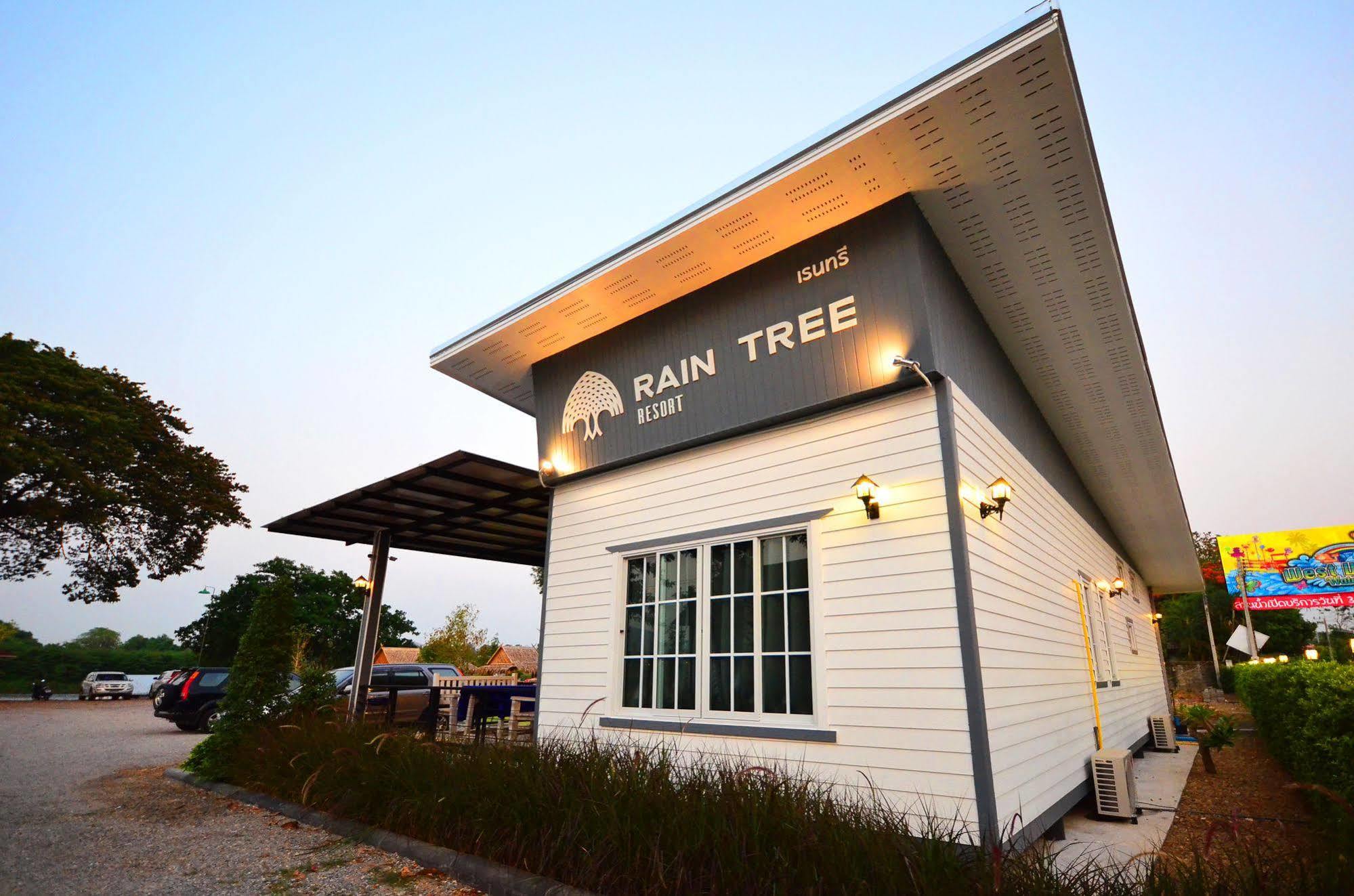 Rain Tree 3*