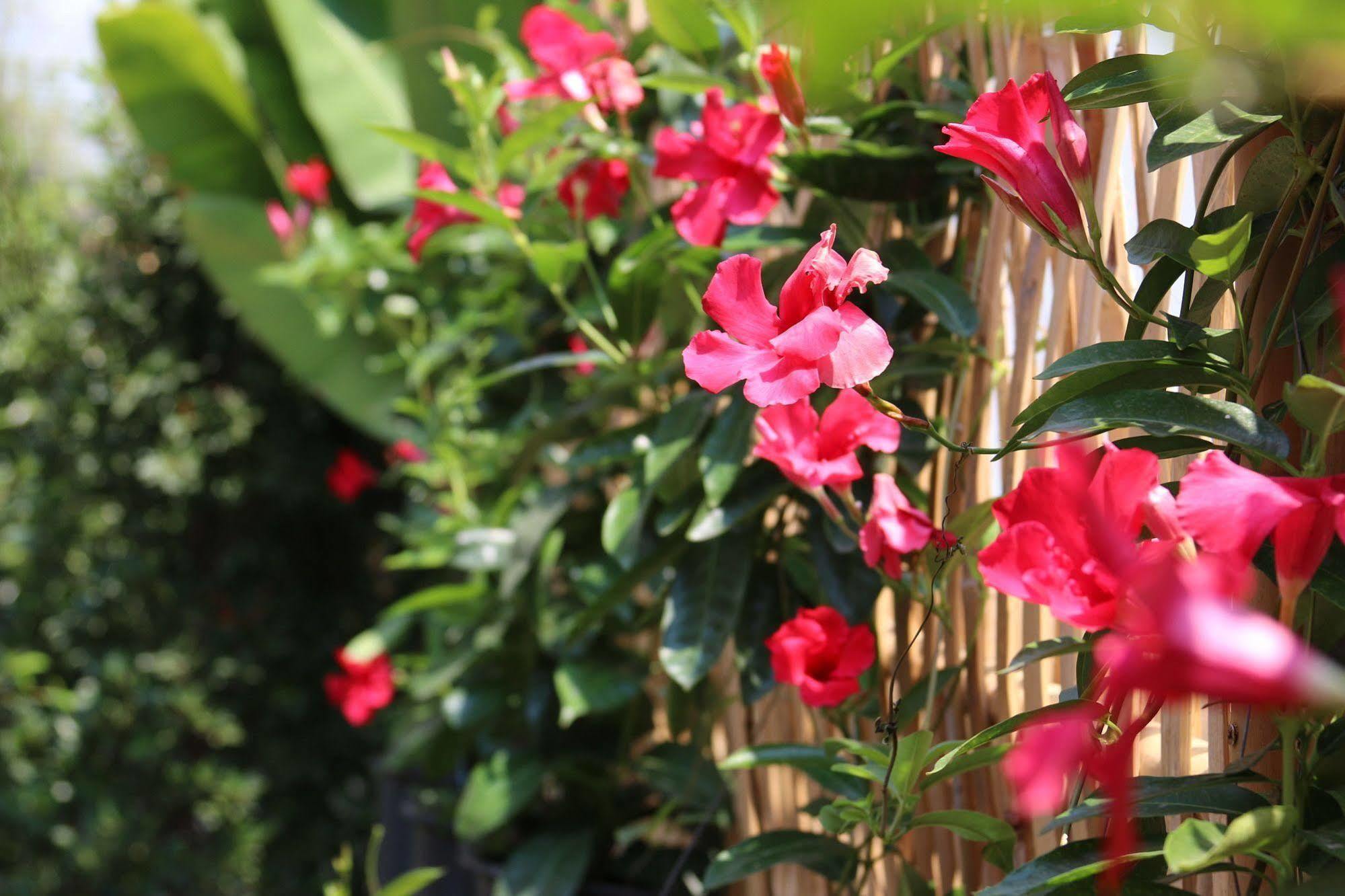Joyful Thai Boutique Hotel 3*