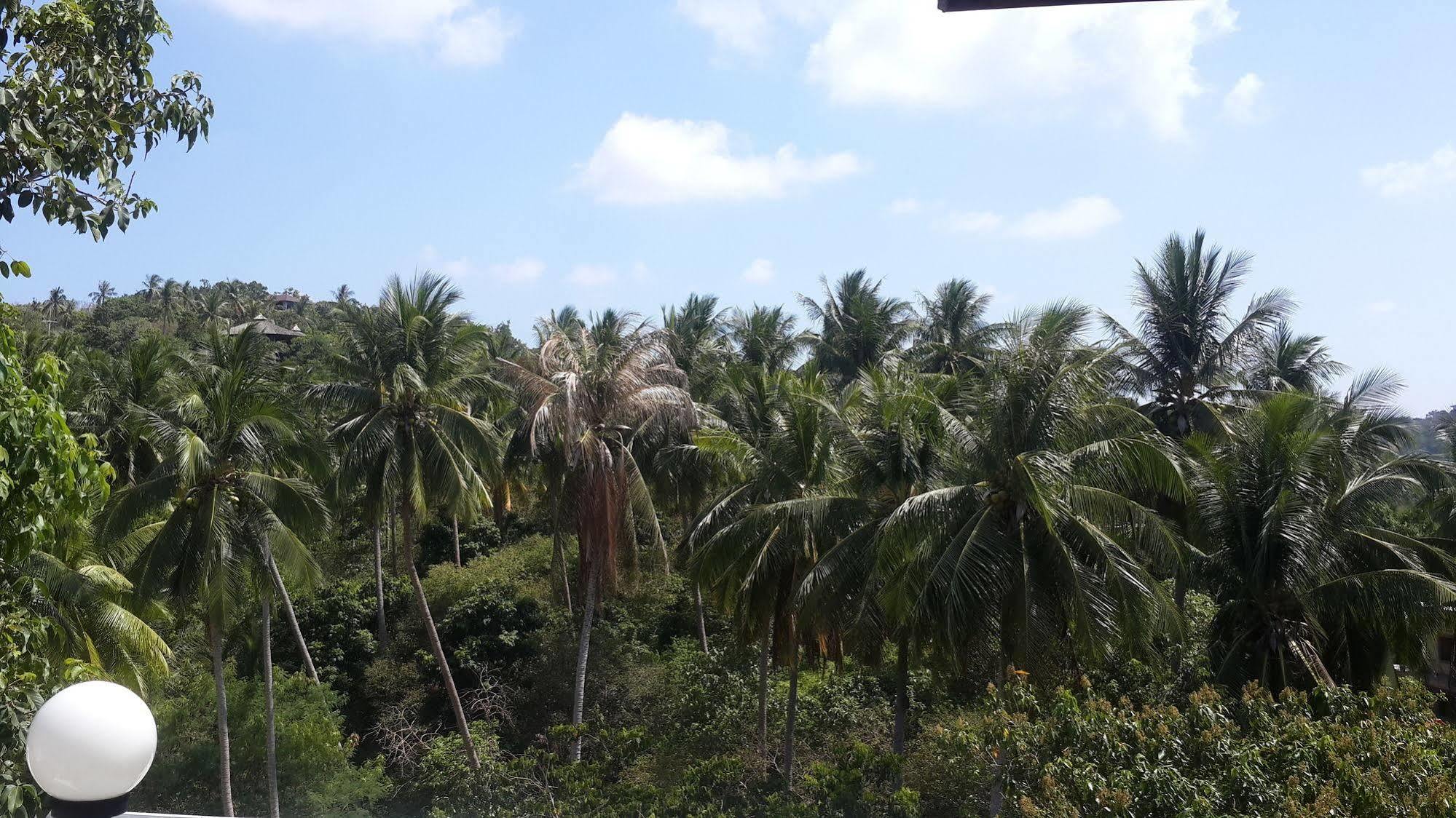 Woodlawn Resort