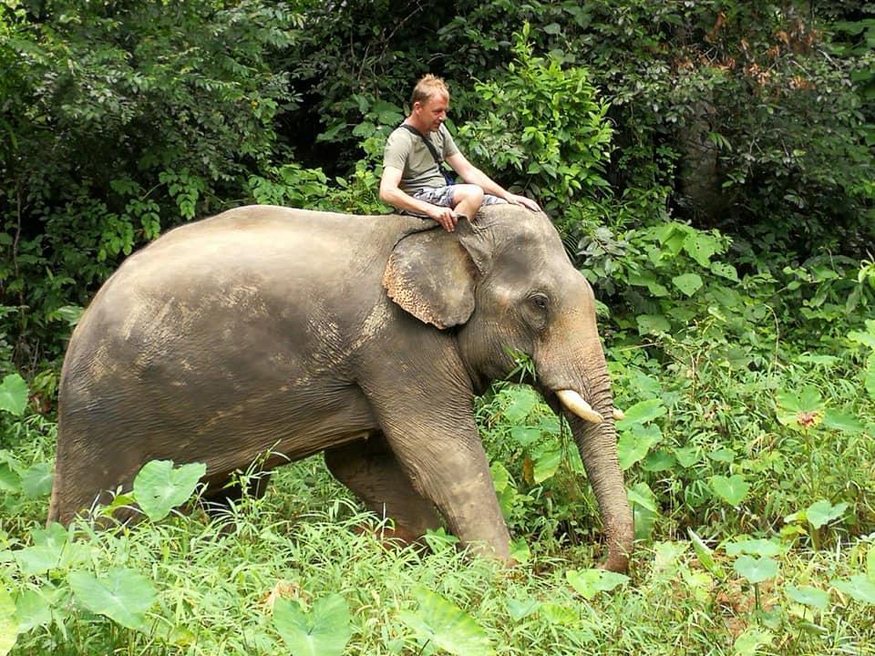 Khai Jungle Experience Resort *