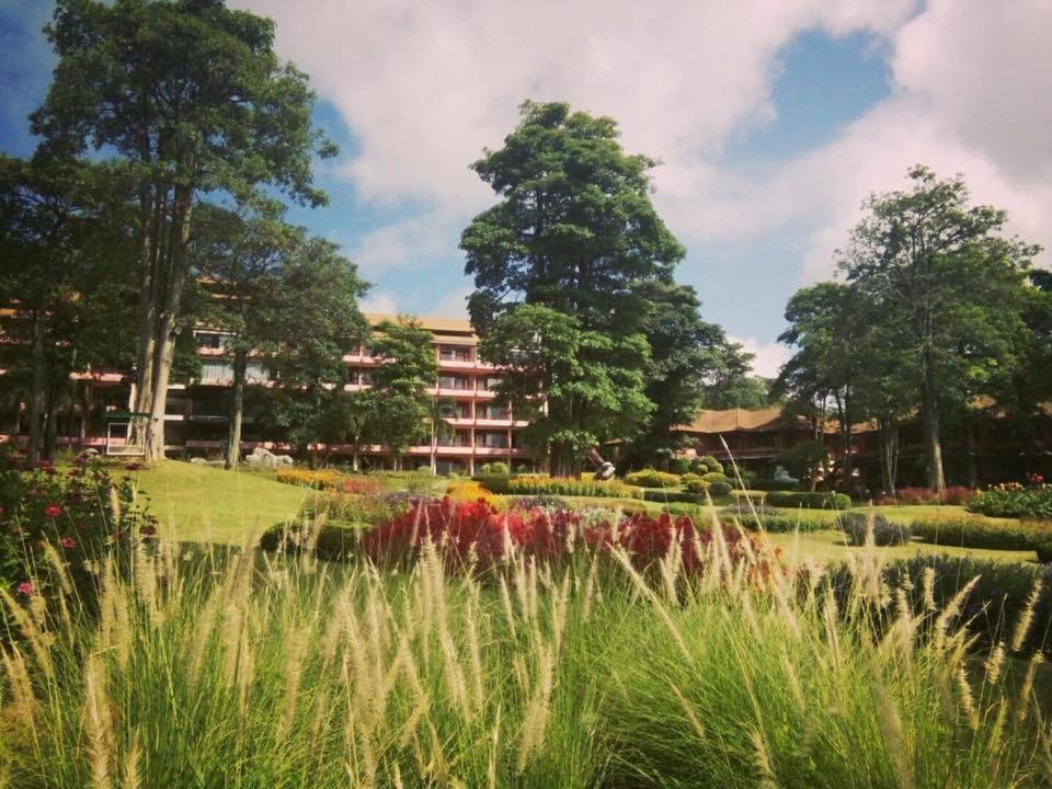 Arayana Phupimarn & Hotel