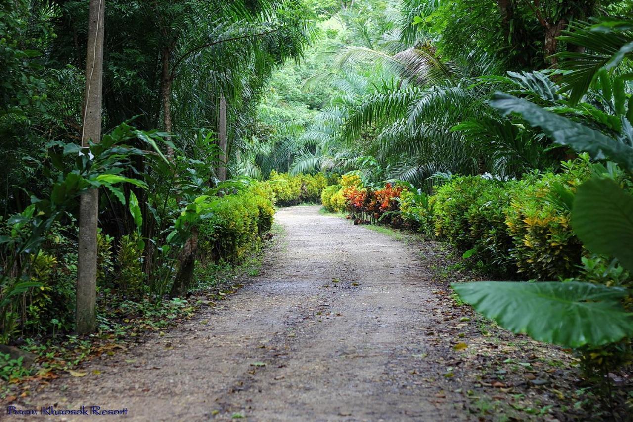 Baan Khaosok Khao Sok National Park