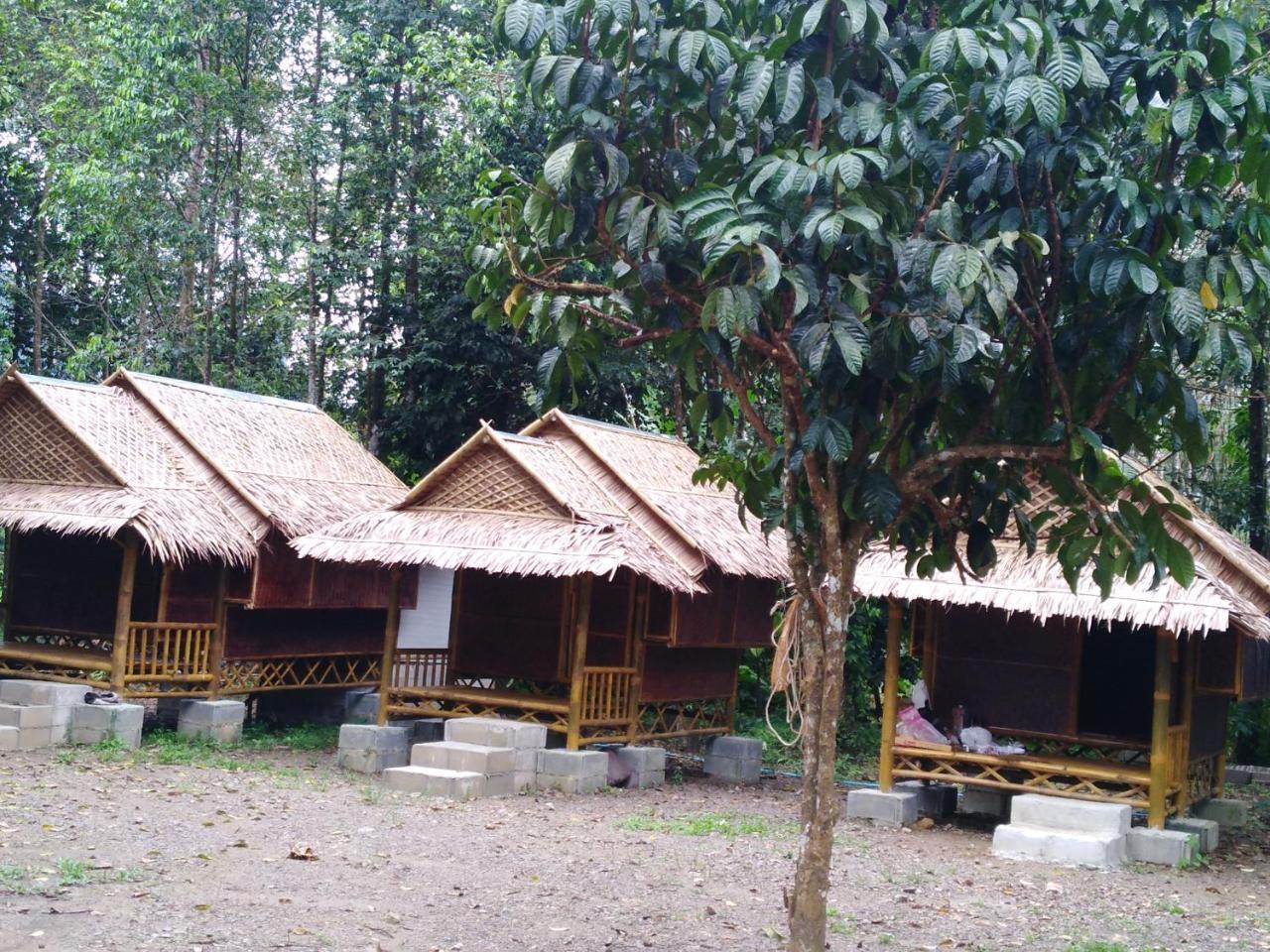 Resort Khai Jungle Experience *