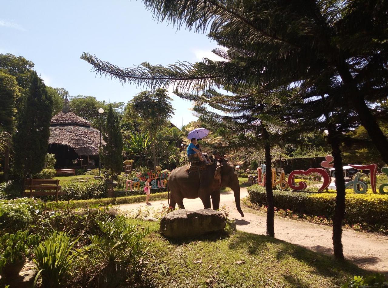 Treehouse 3* Pai