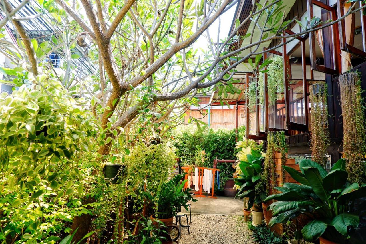 Golden Chiang Mai