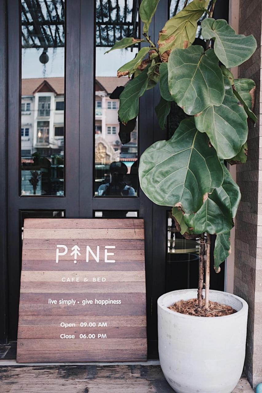 Guest house Pine Cafe'&bed 2*