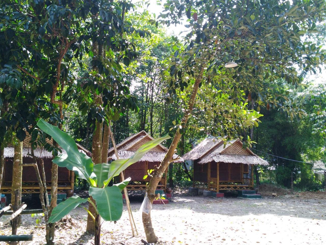Khai Jungle Experience * Khao Sok National Park
