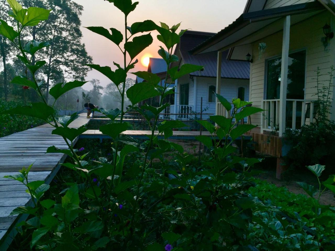 Baan Thung Prasat