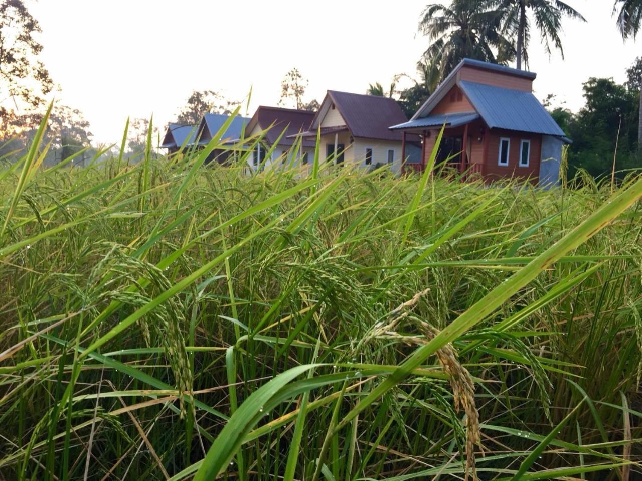 Baan Thung Prasat